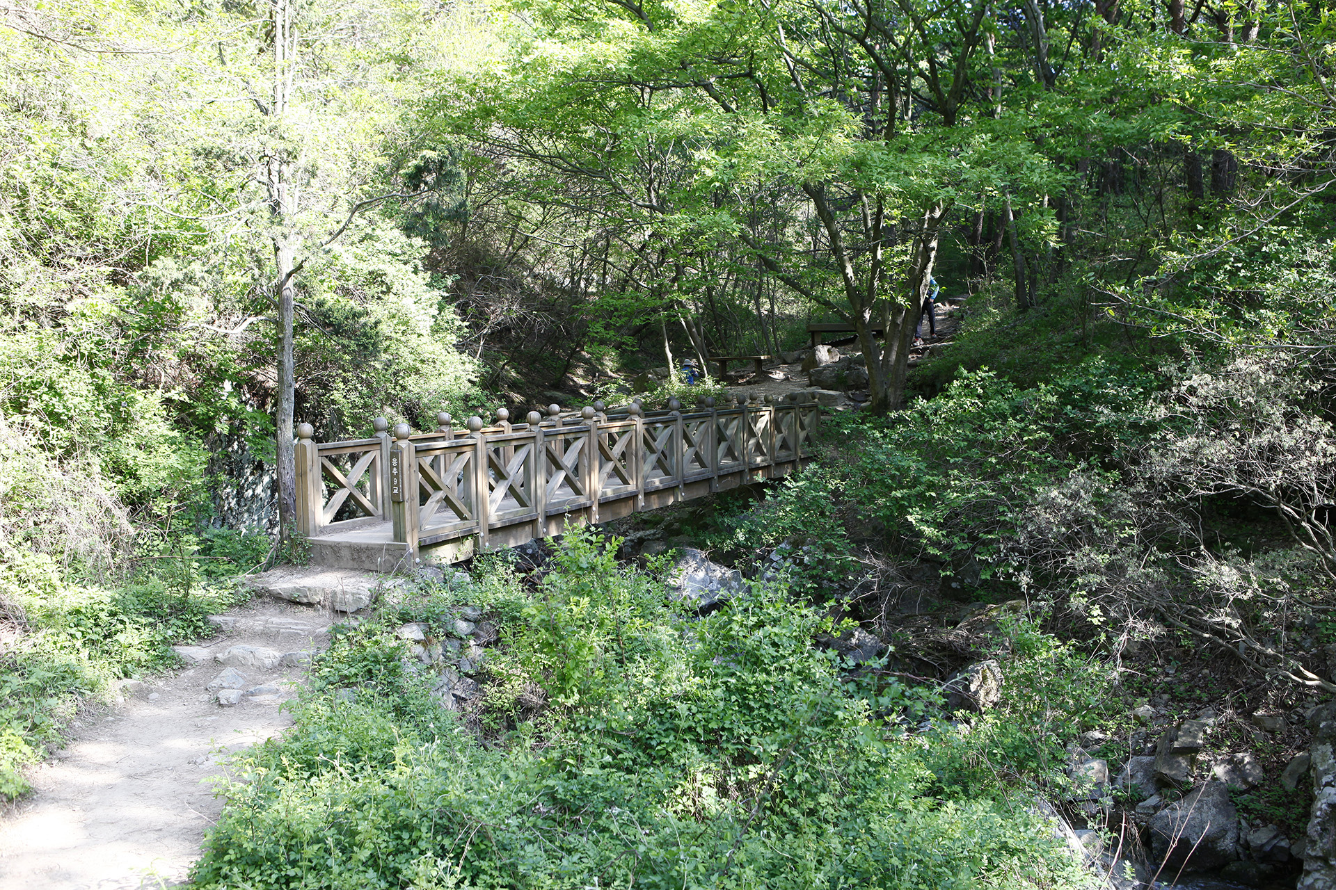 비음산