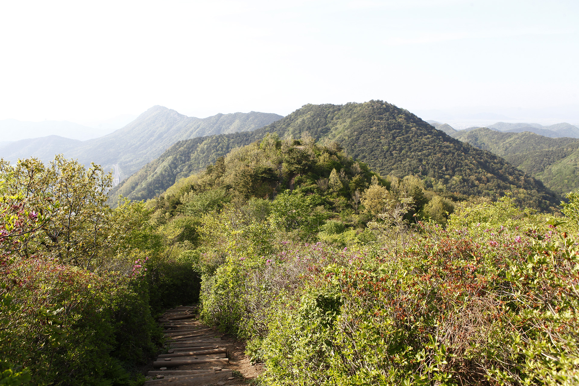 비음산