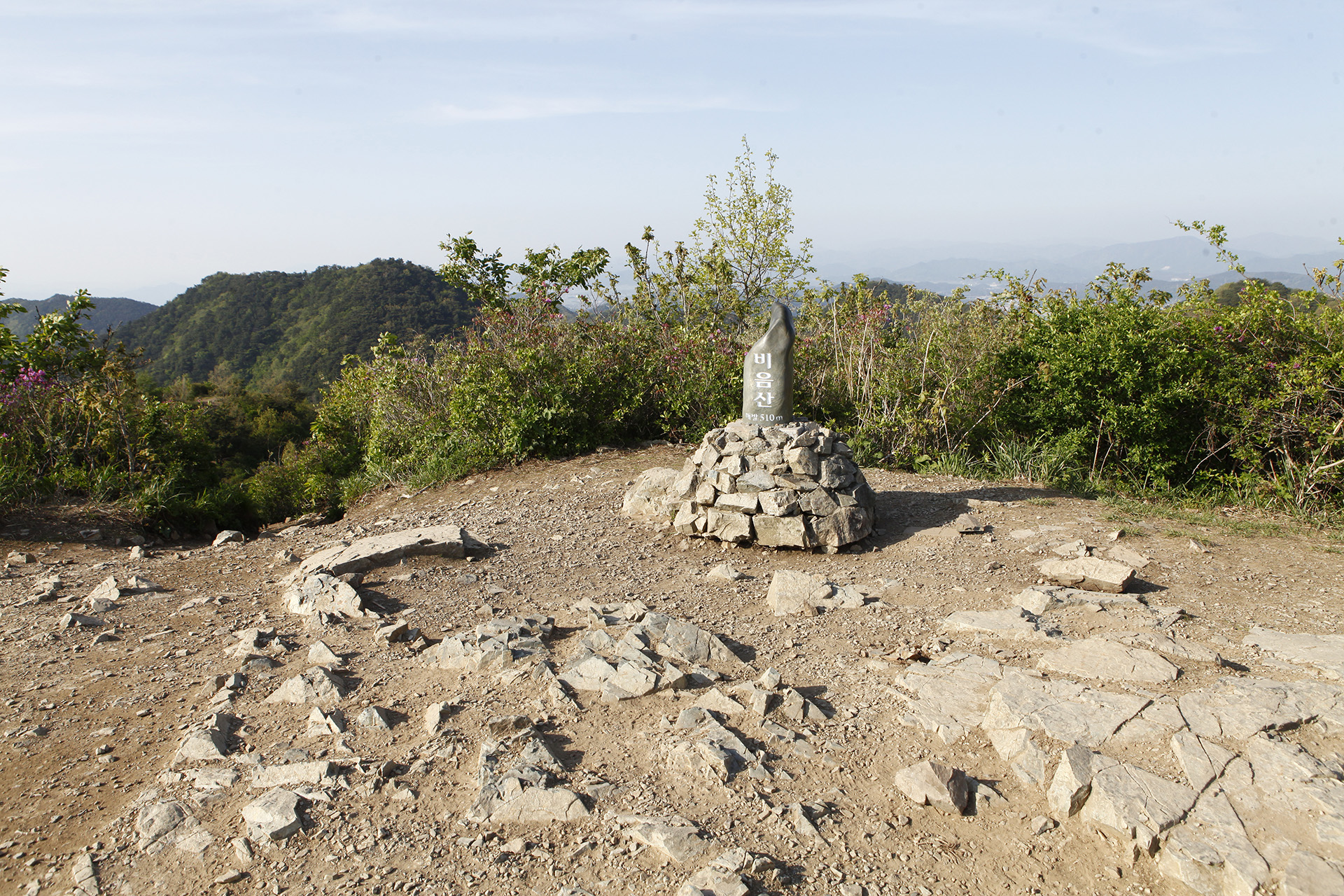 비음산