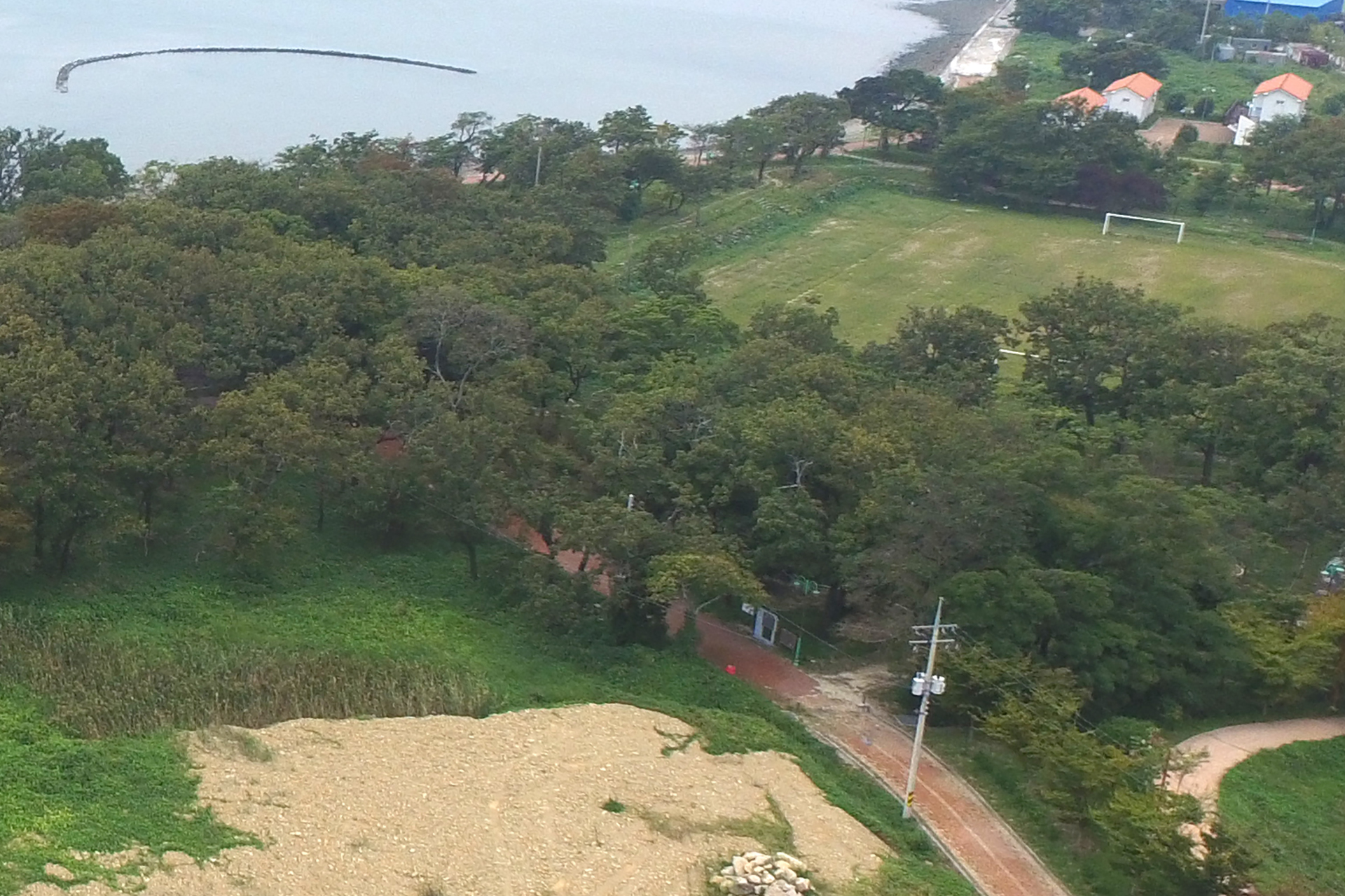 앵강다숲