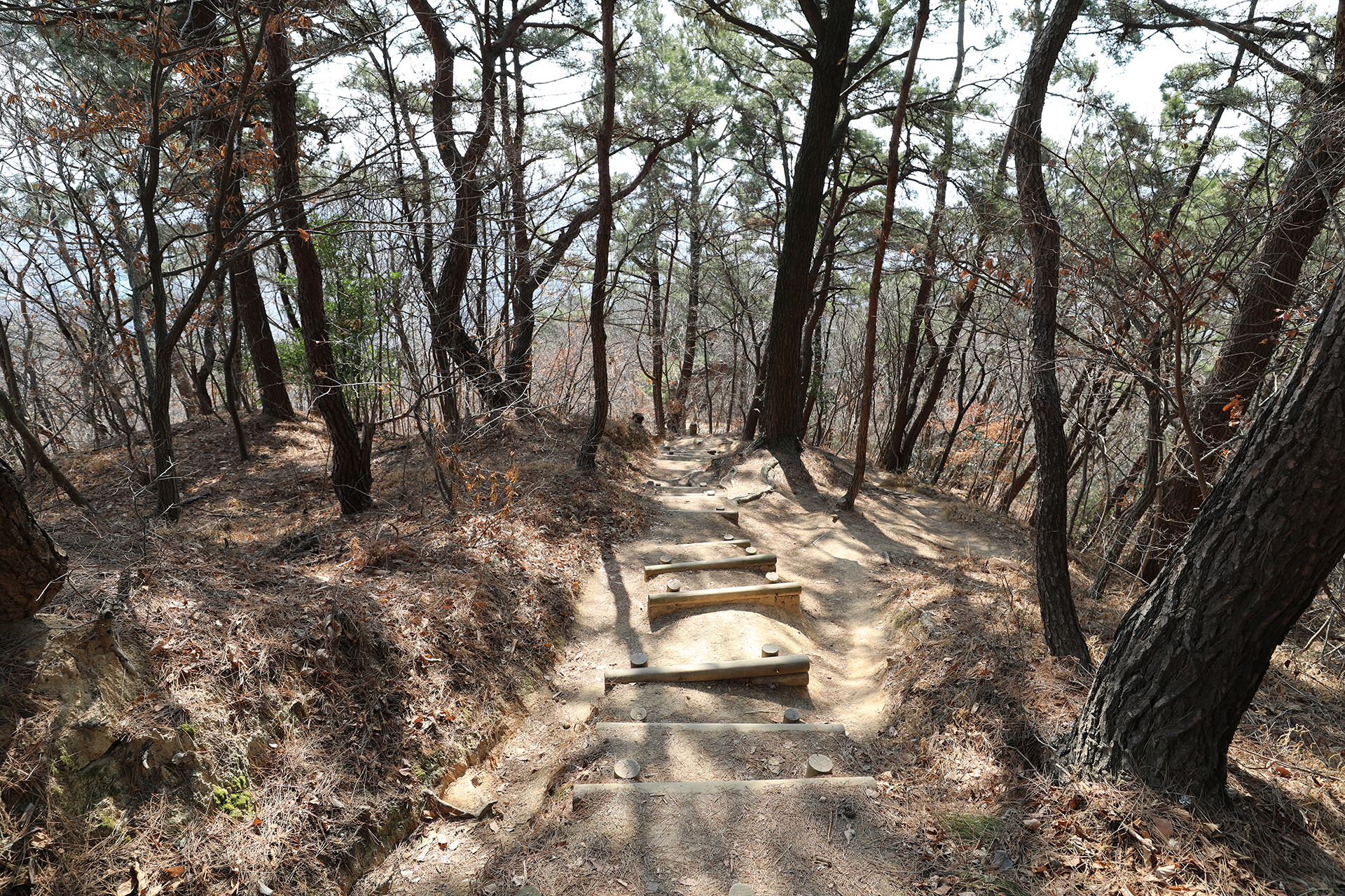 반송공원 정산