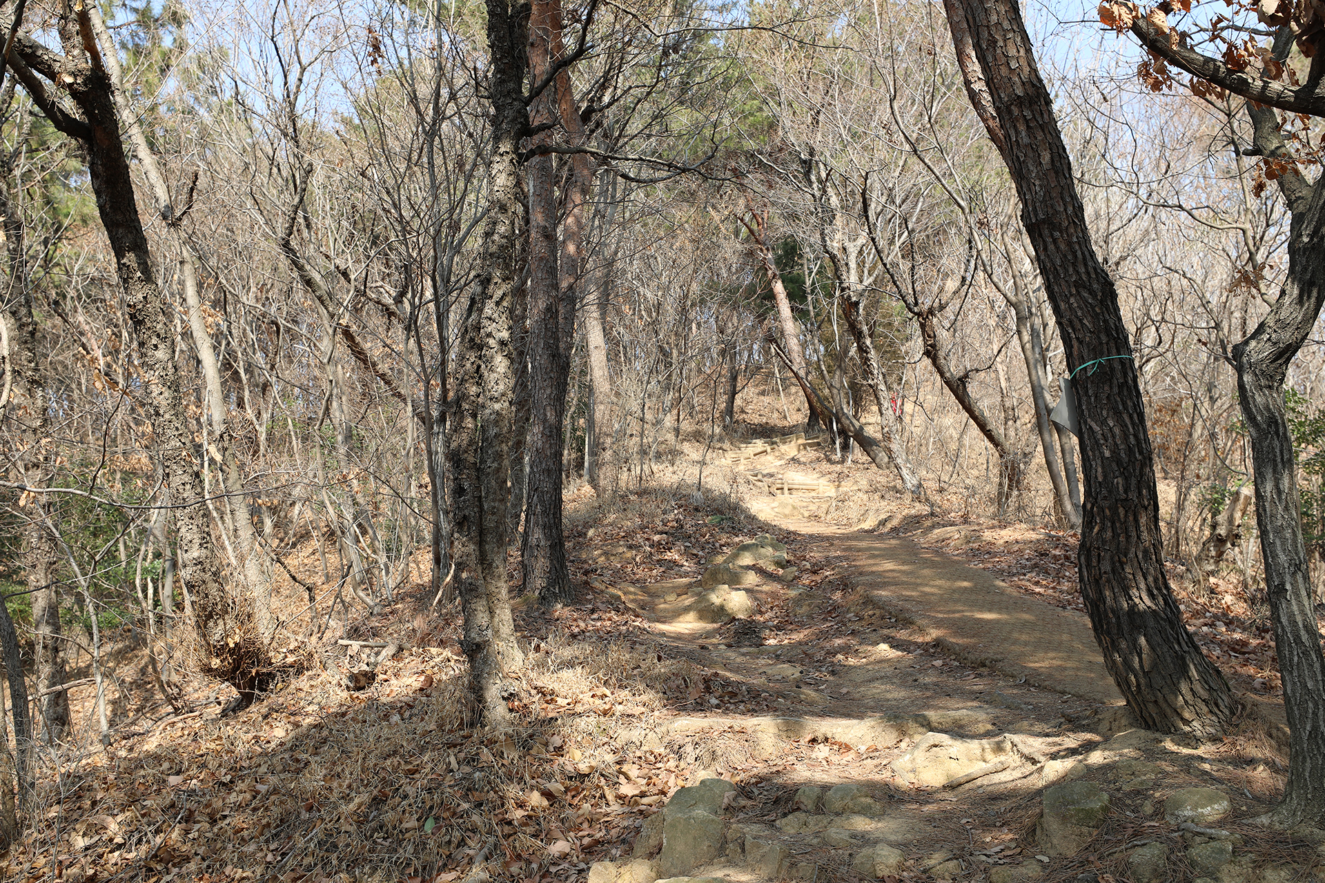 반송공원 정산