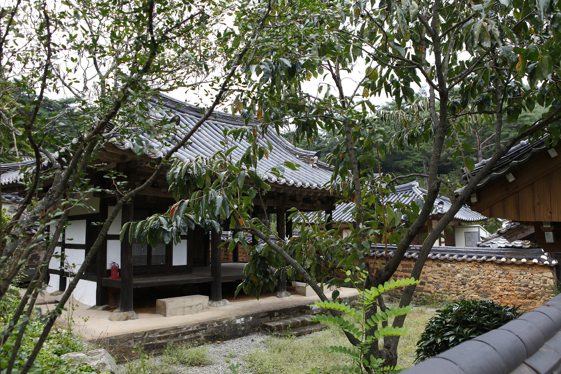 수림서원