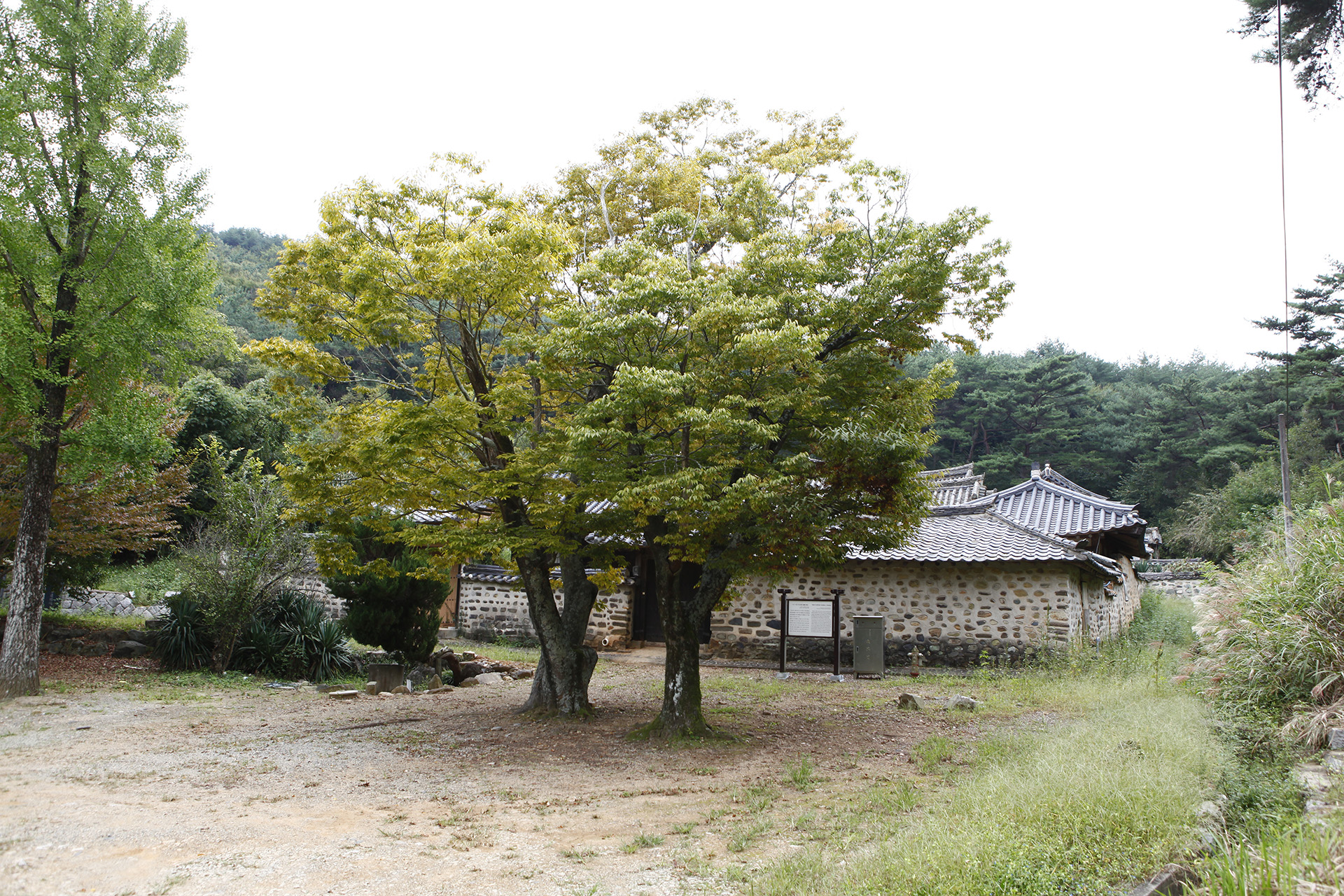 수림서원