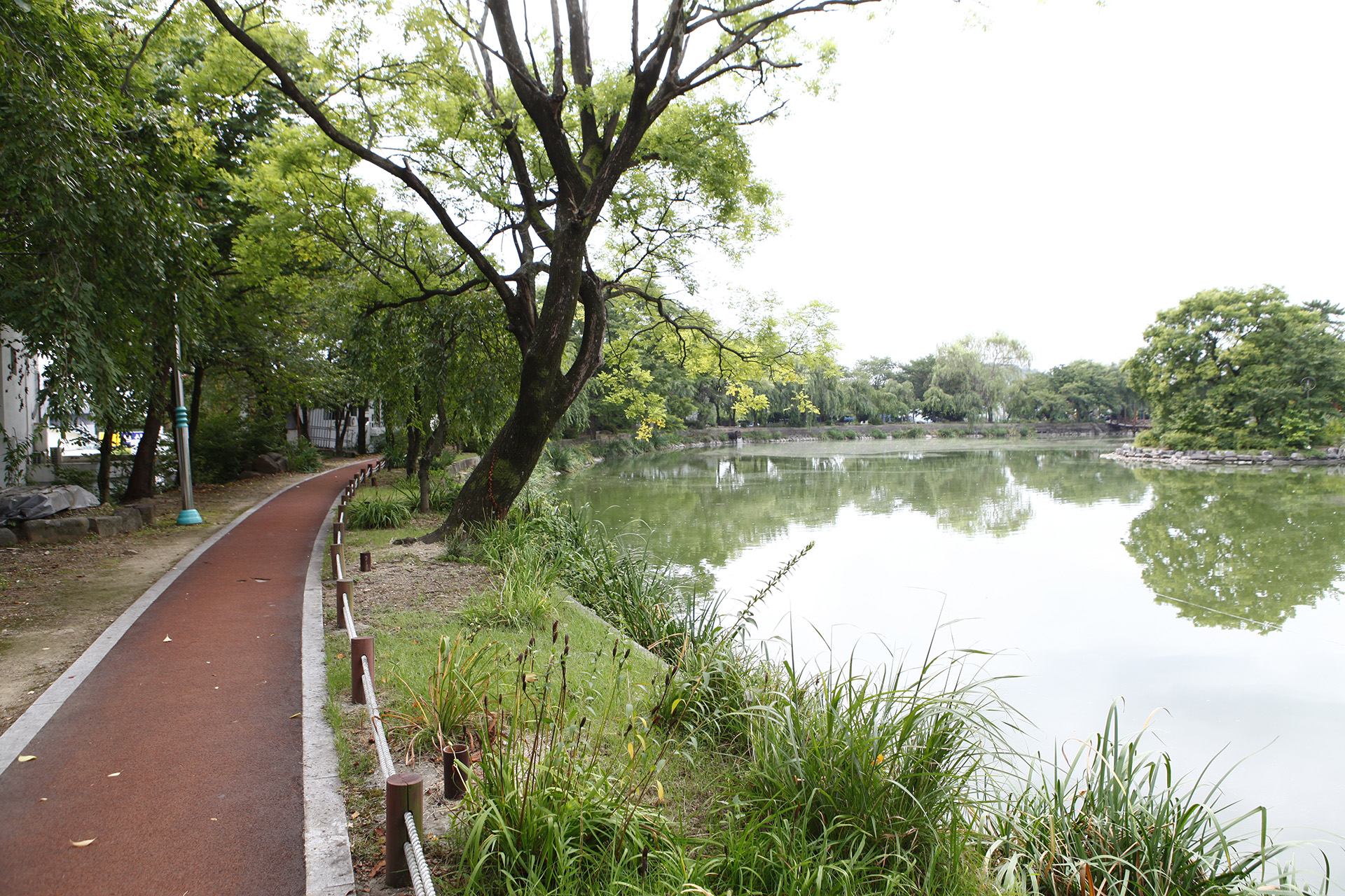 영산연지못
