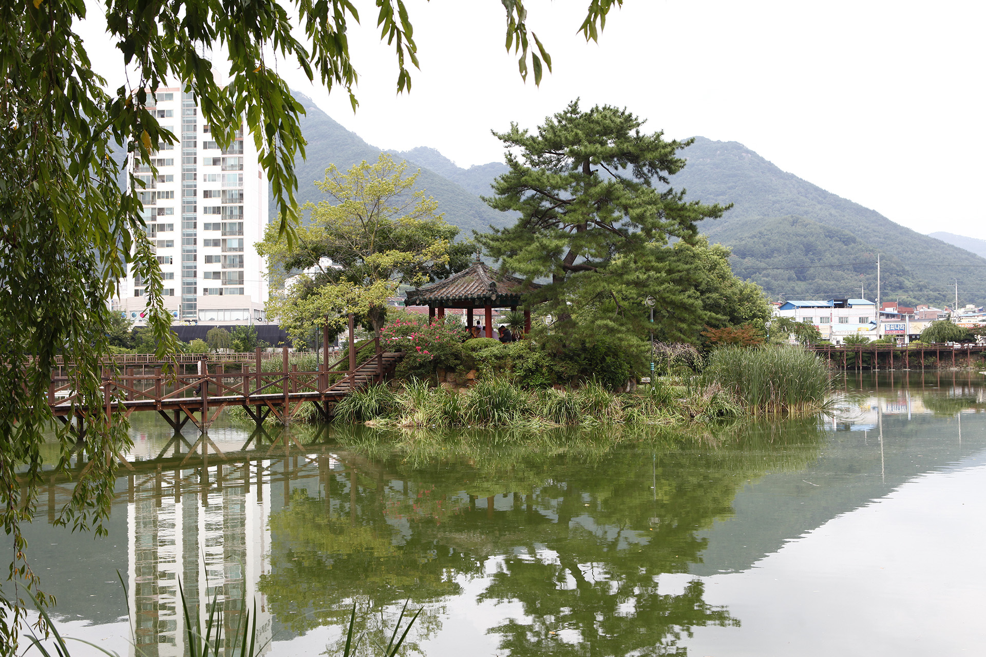 영산연지못