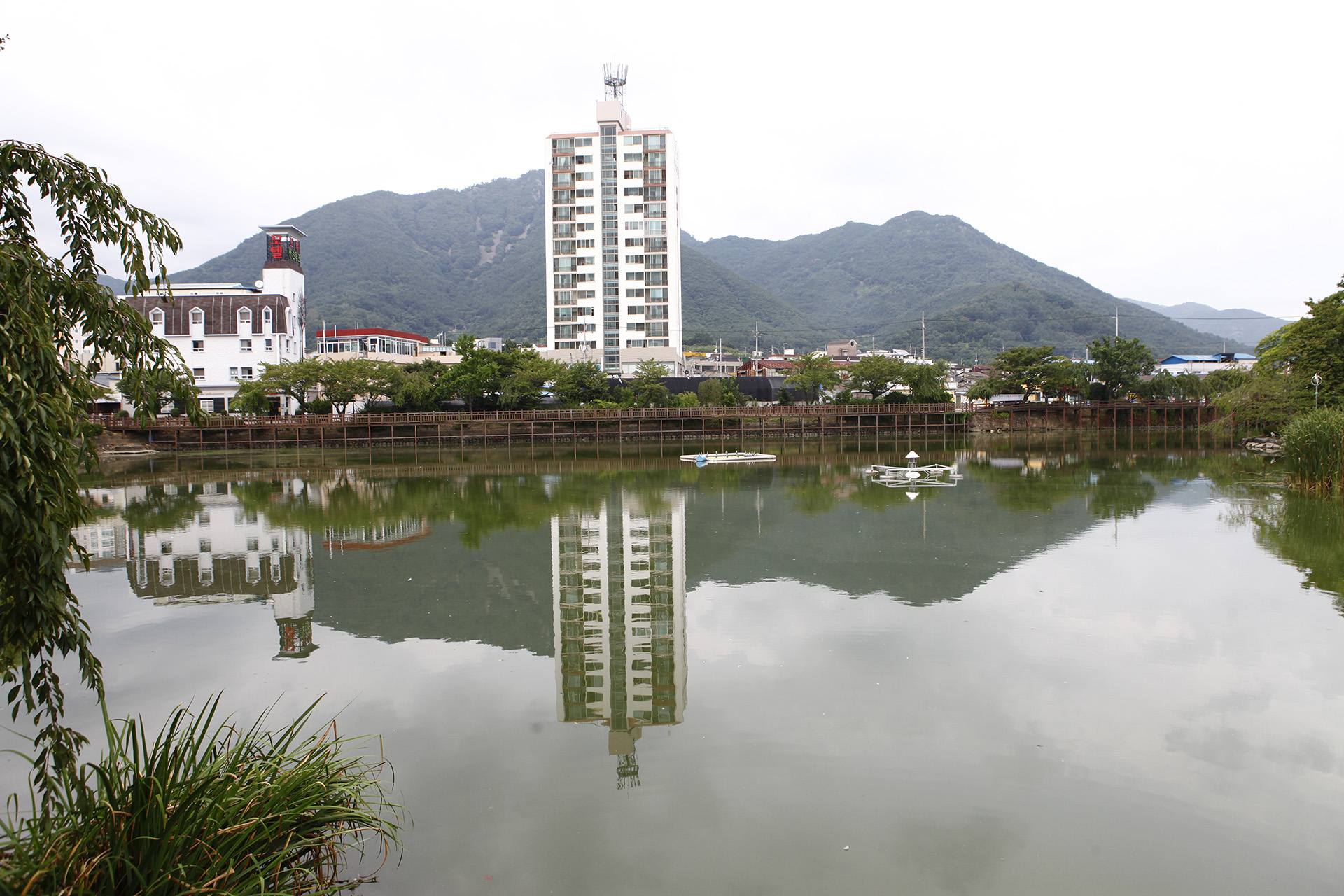 영산연지못