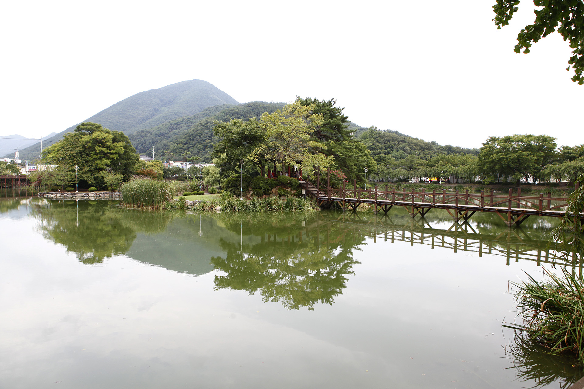 영산연지못