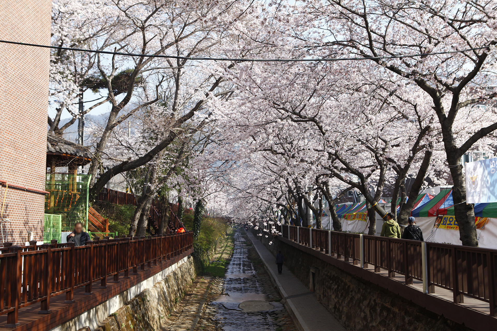 여좌천