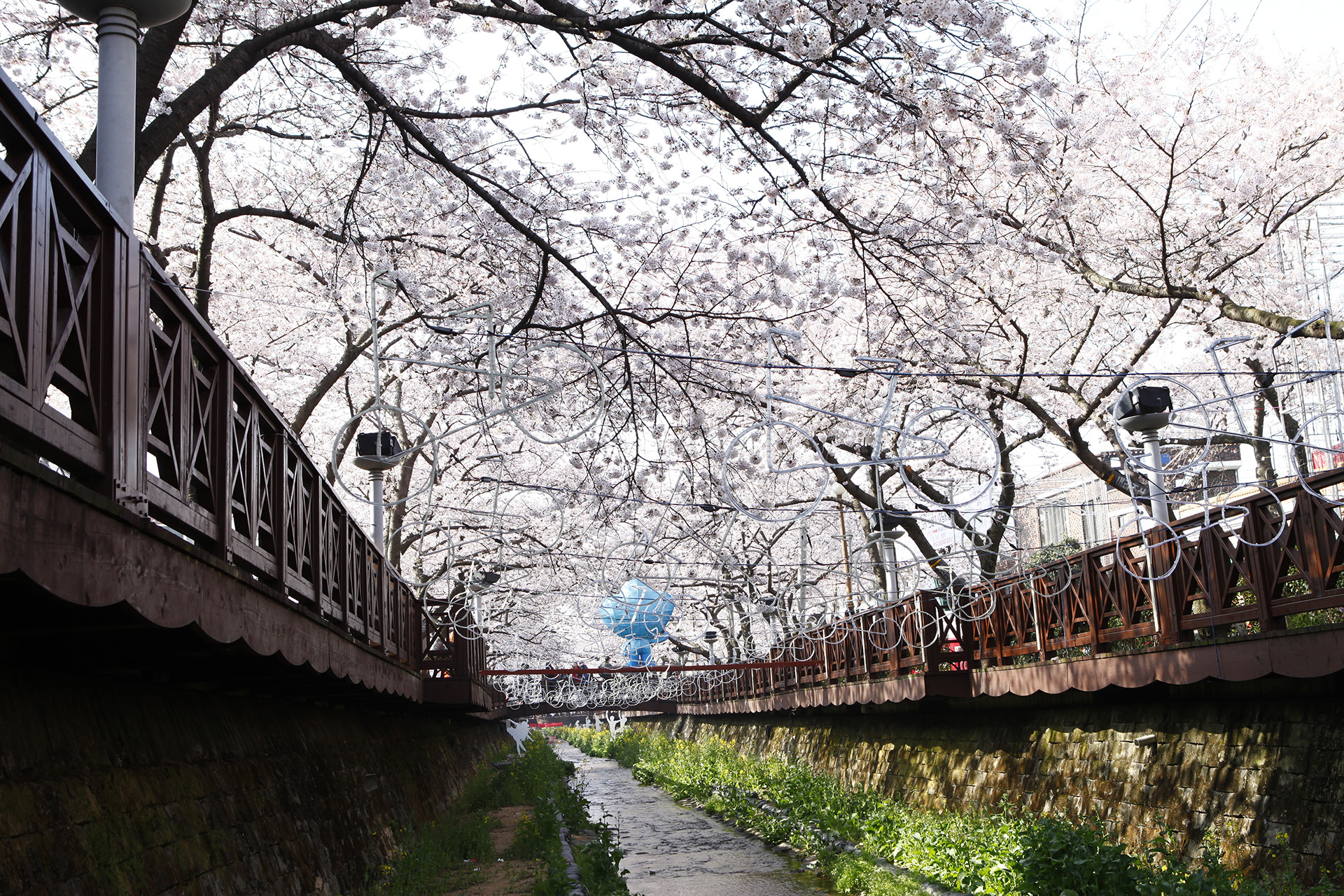 여좌천