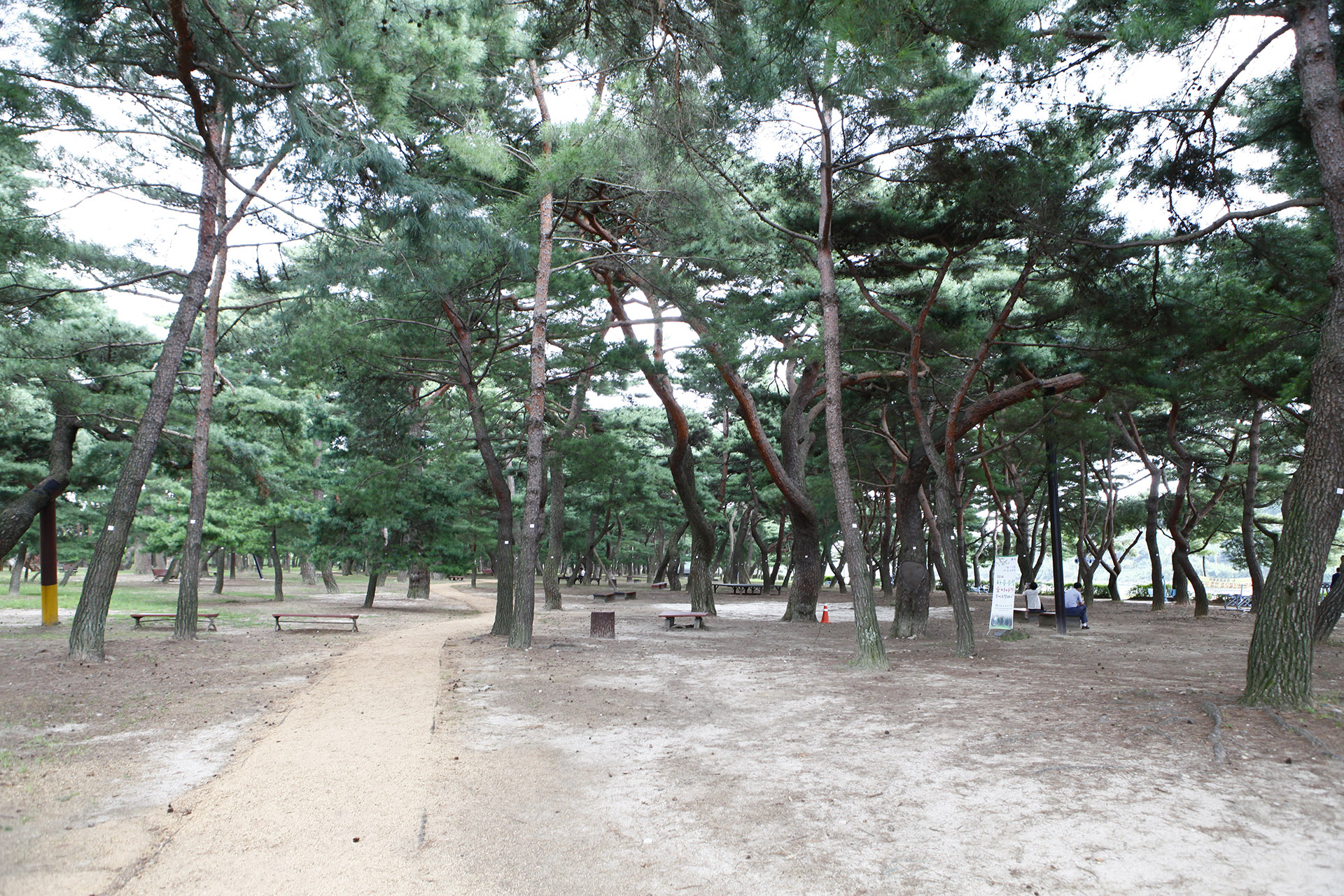 하동송림공원