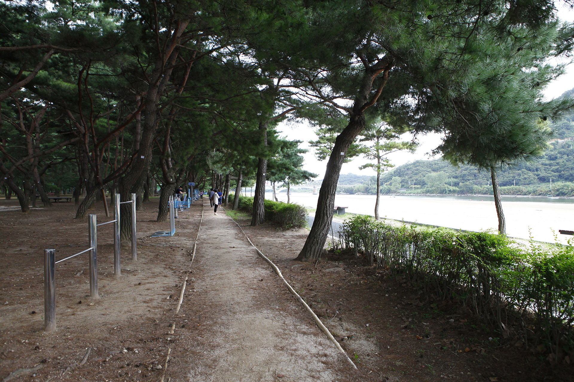 하동송림공원