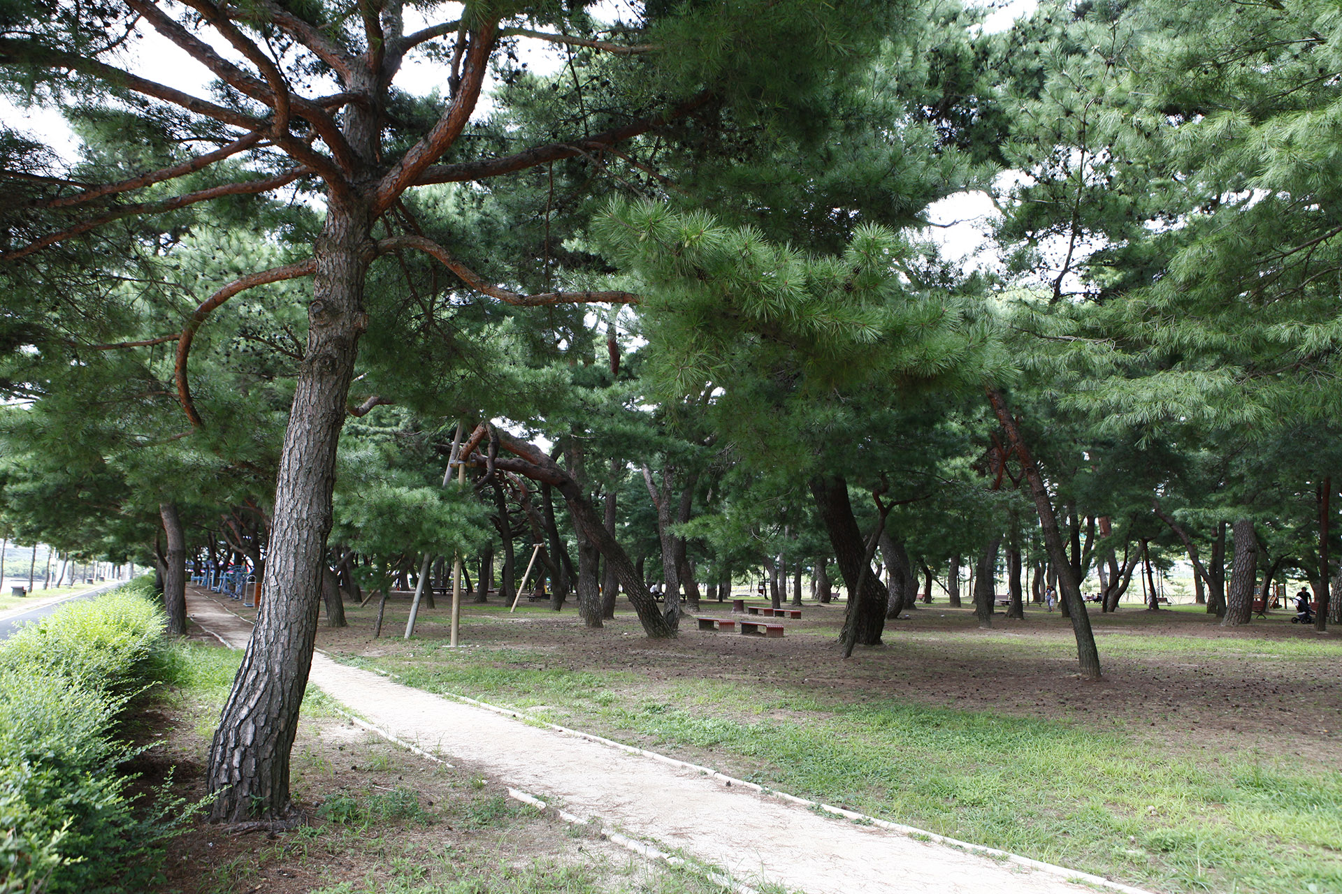 하동송림공원