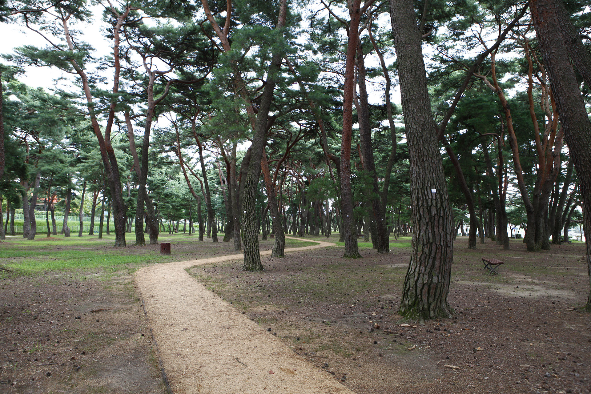 하동송림공원