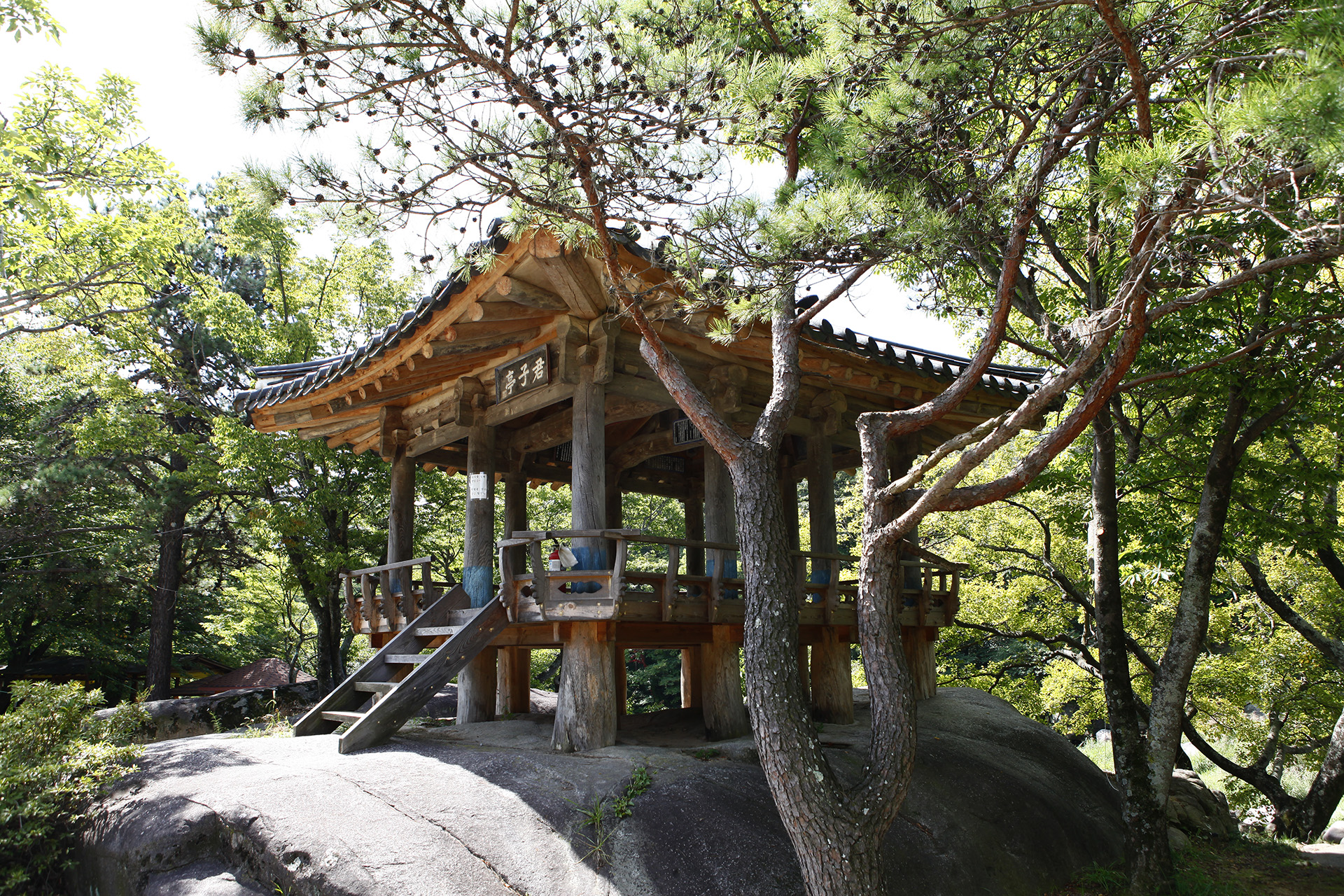 군자정