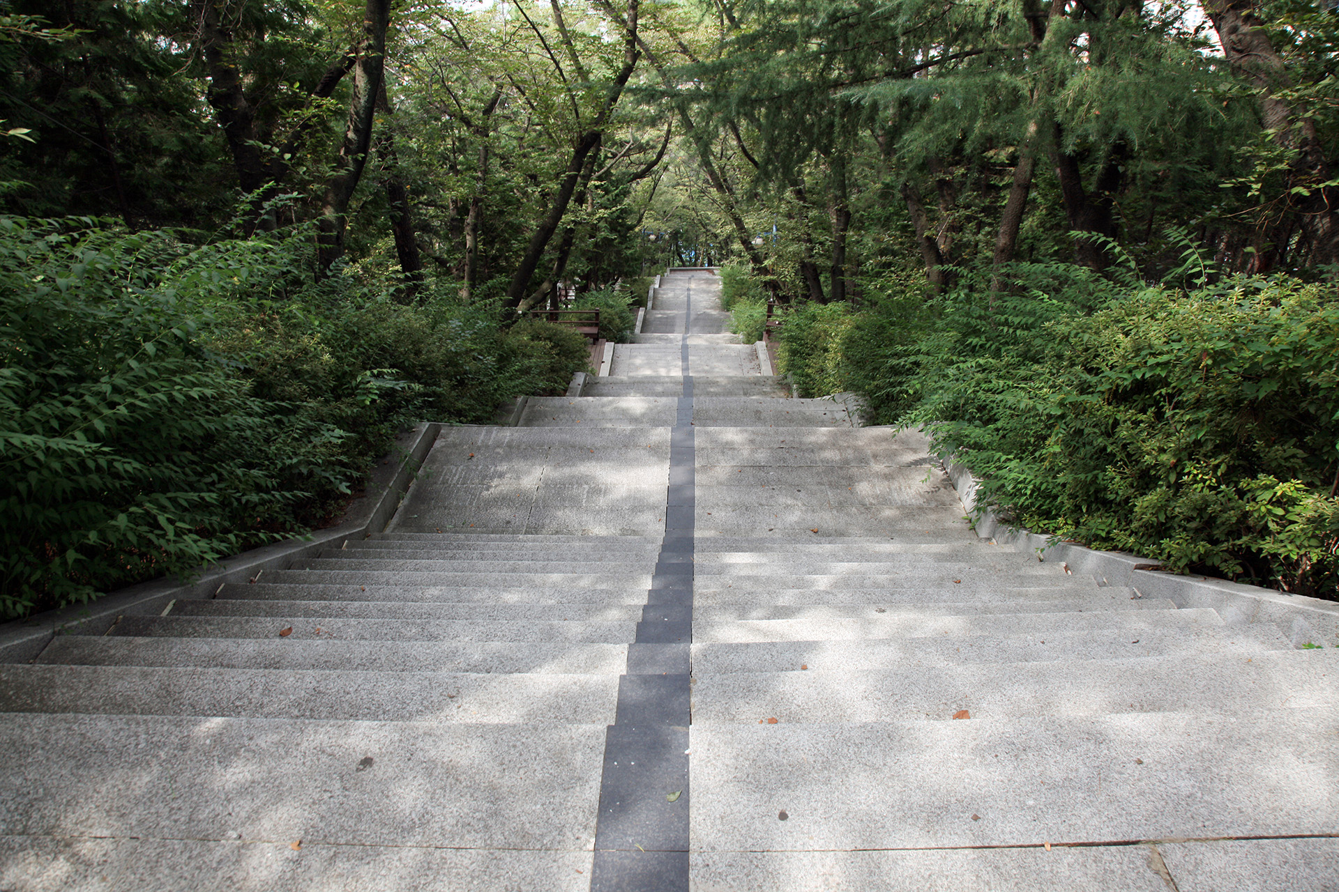 제황산공원