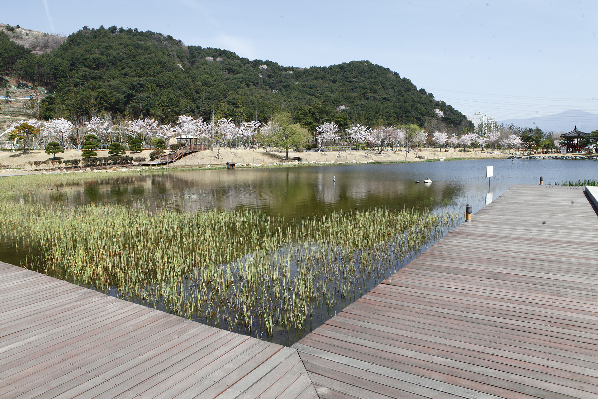 양산 워터파크 공원