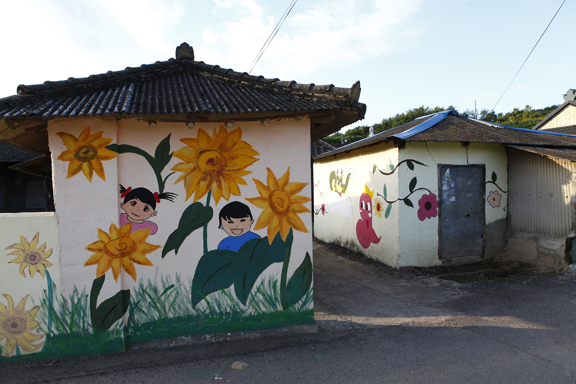 강주 해바라기마을