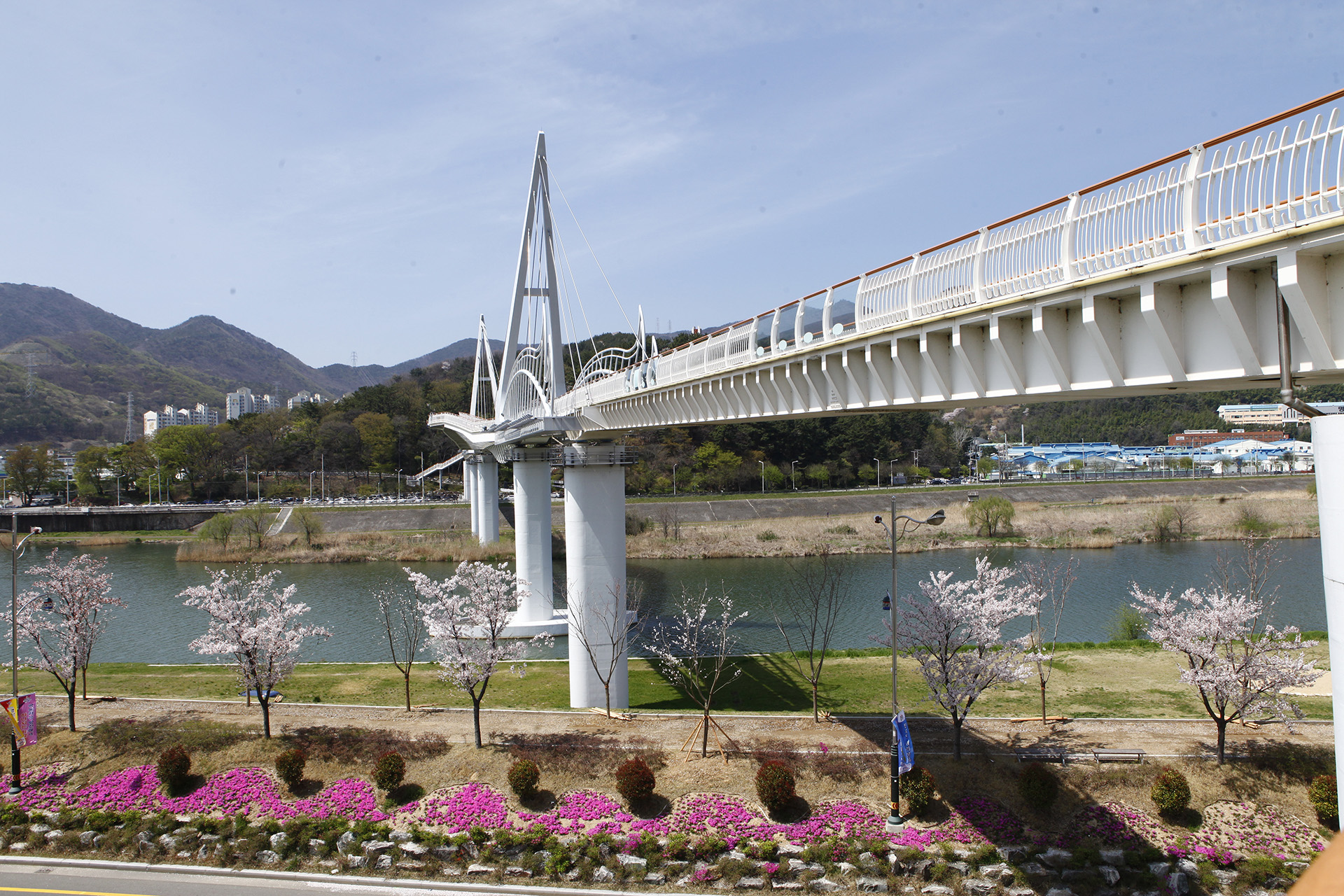 양산 구름다리