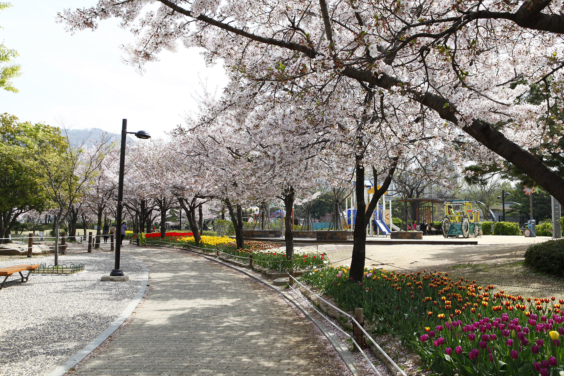 연지공원