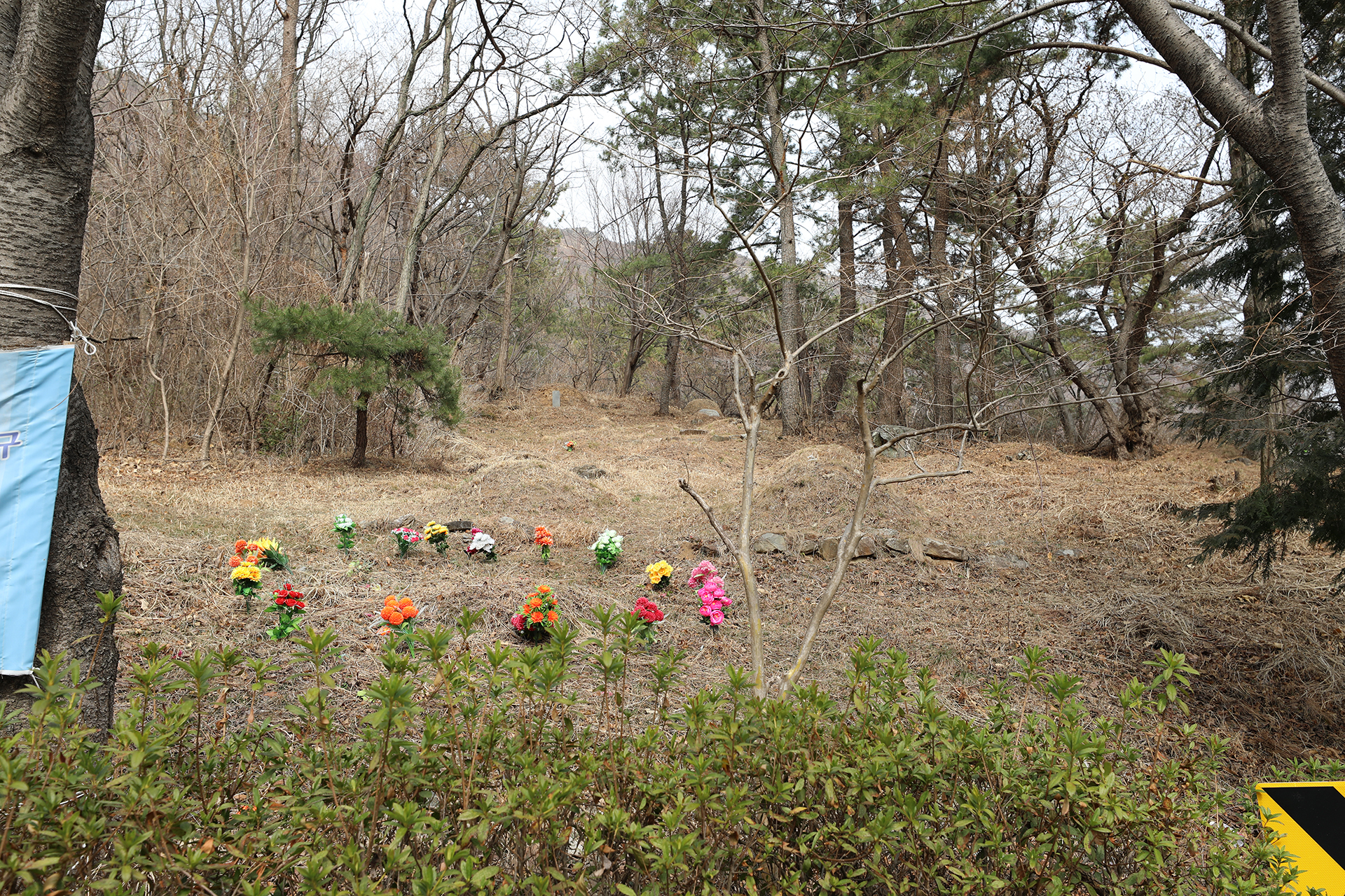 창원천주교공원묘원
