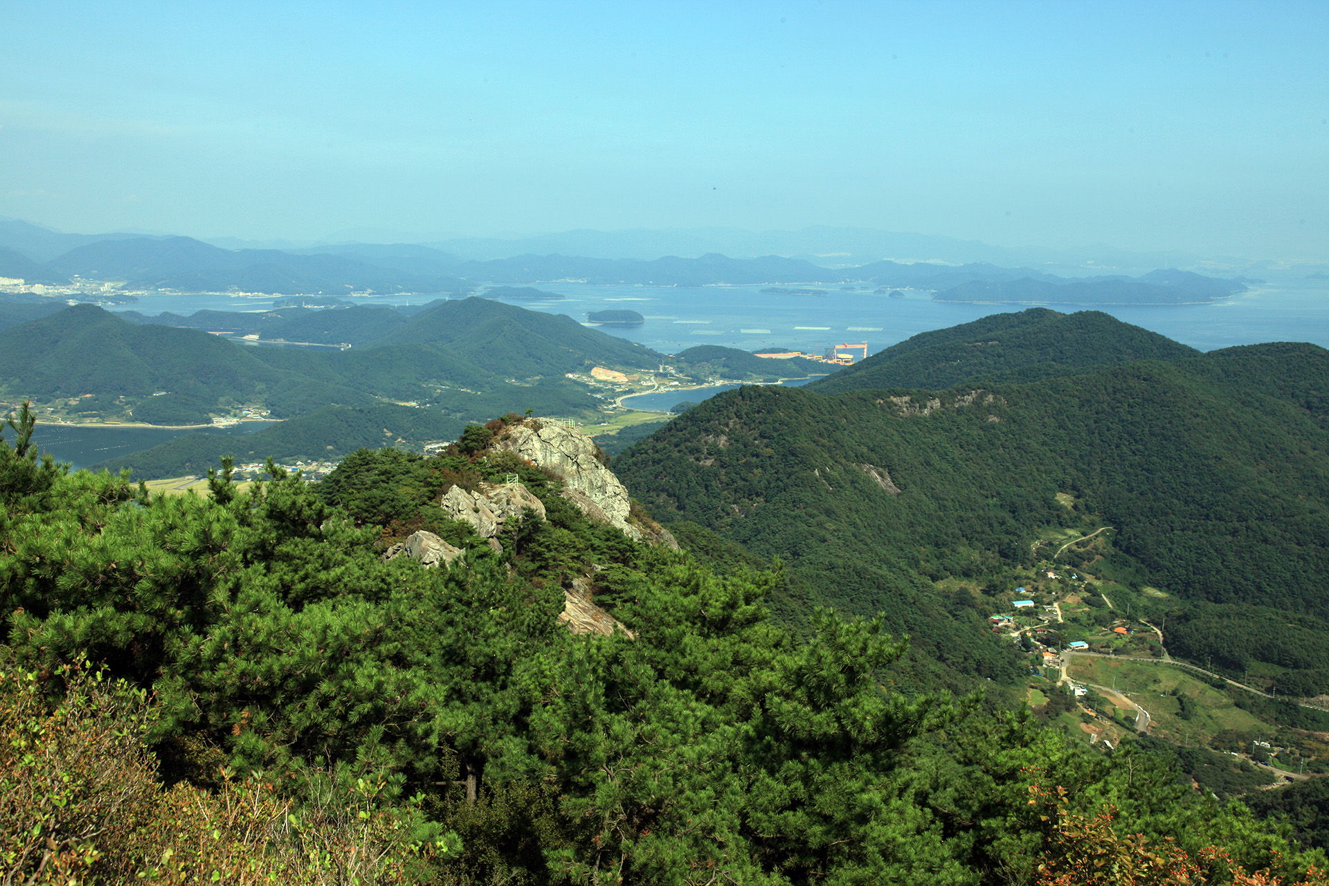 구절산