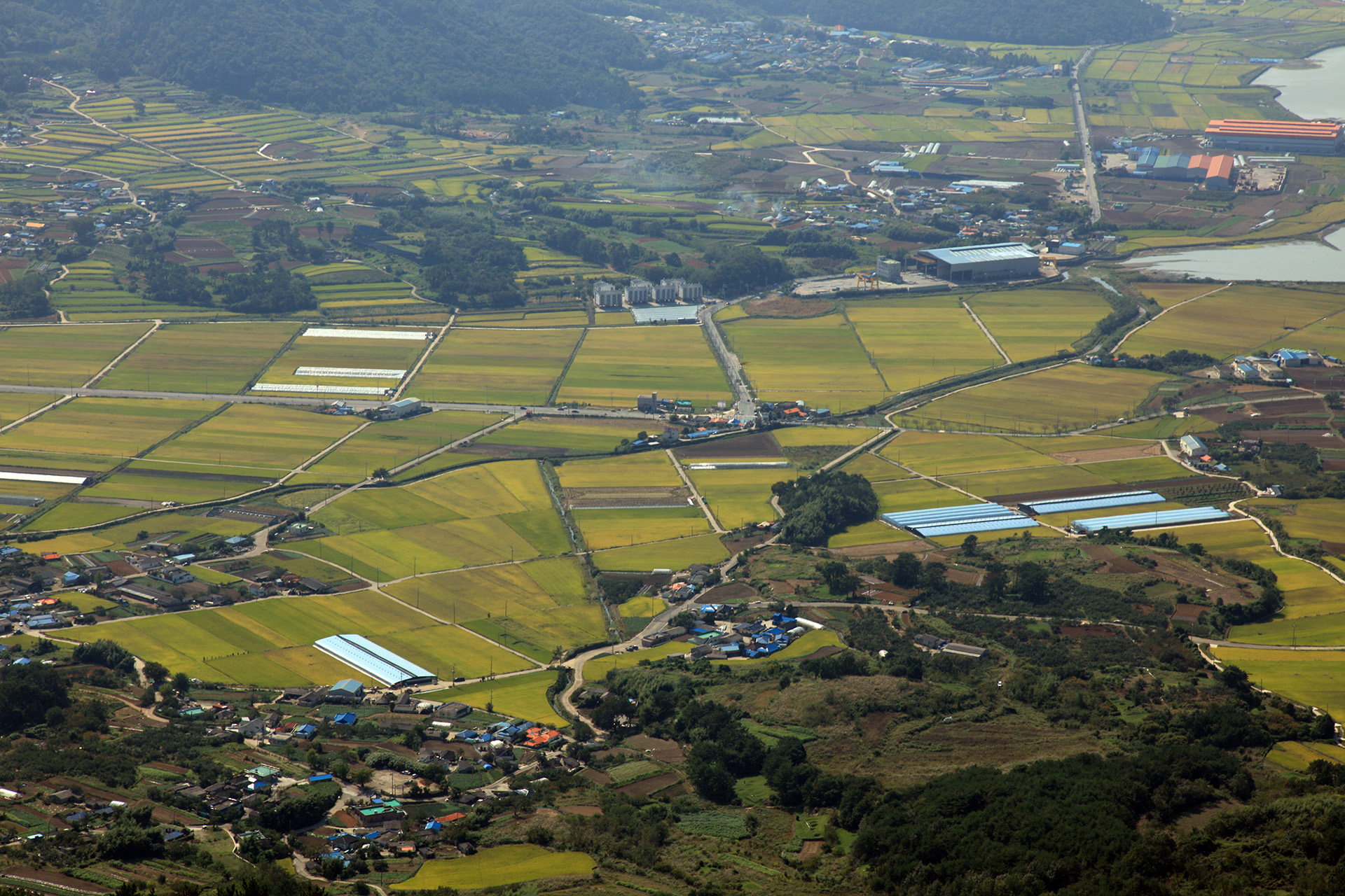 구절산