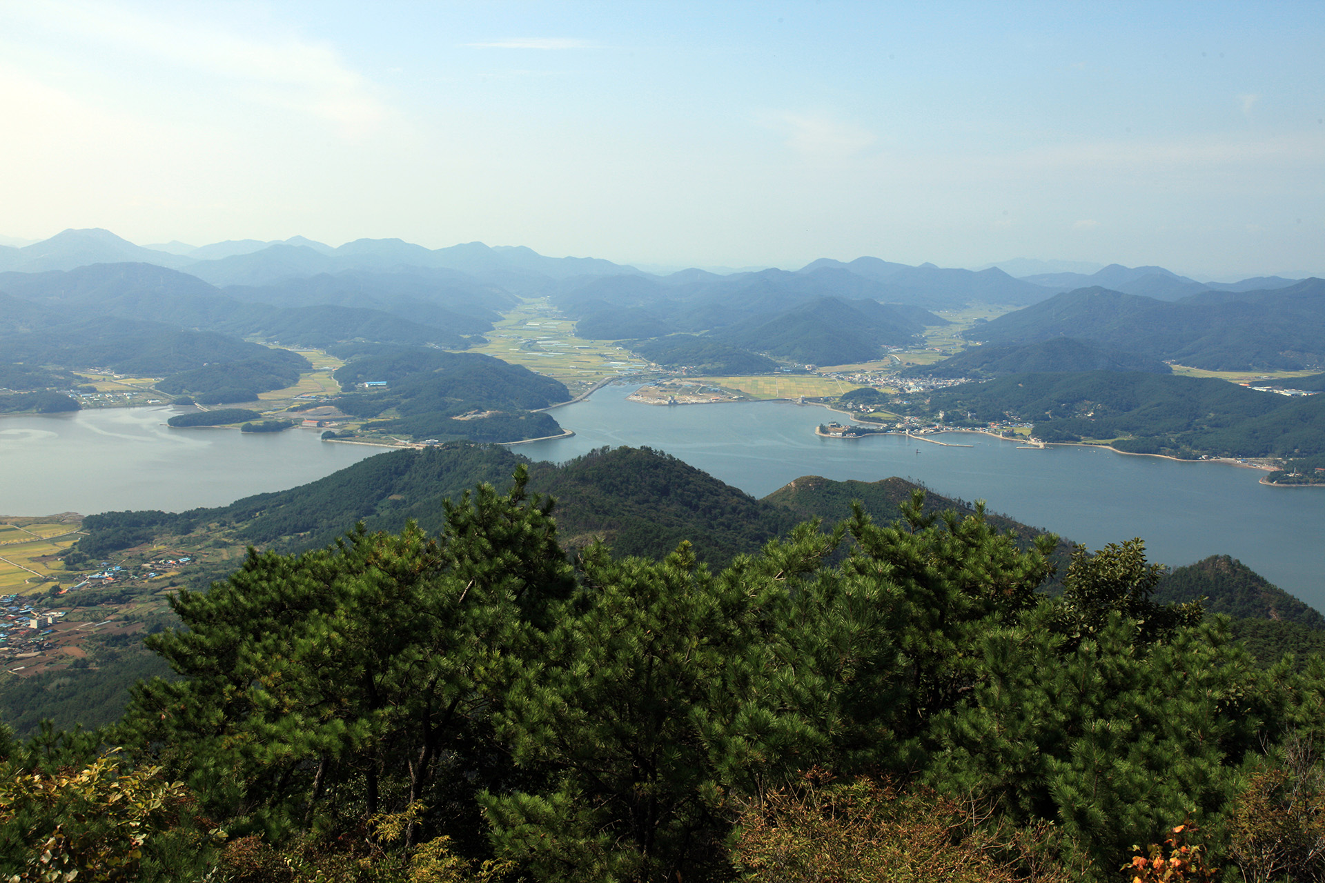 구절산