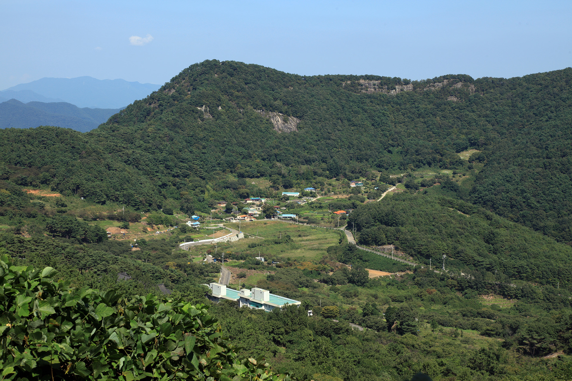 구절산