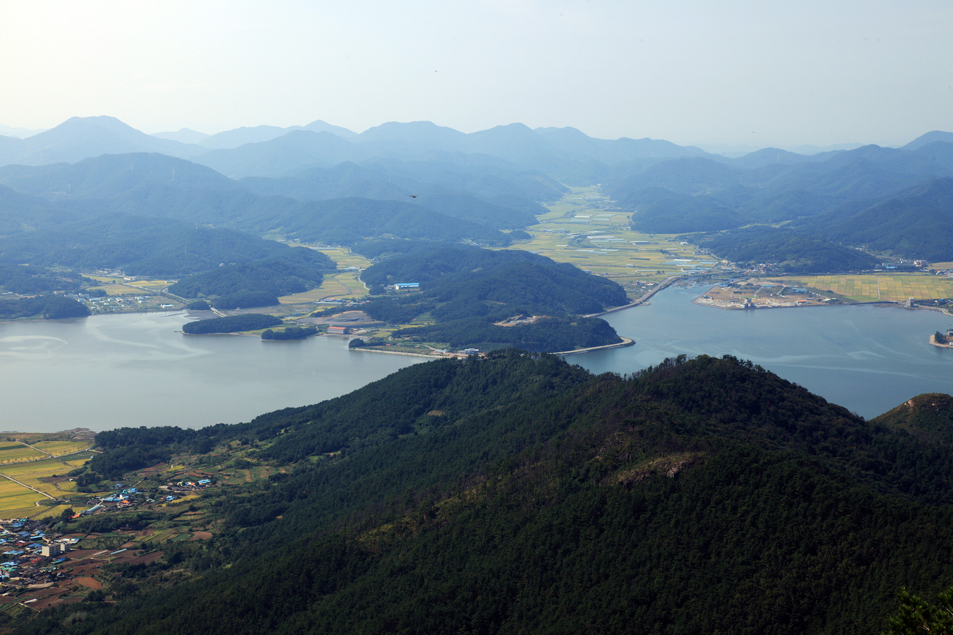 구절산