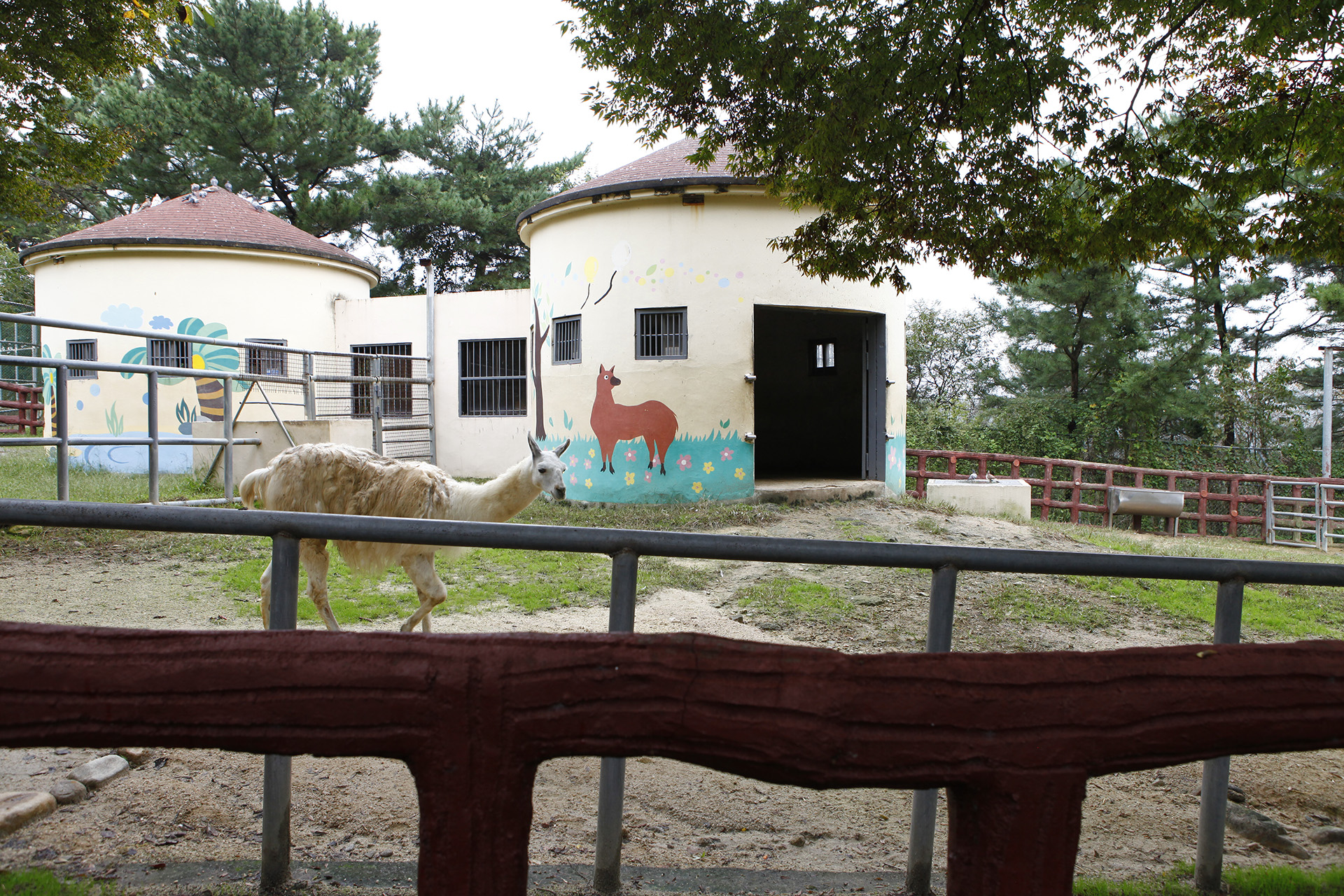 진양호 동물원