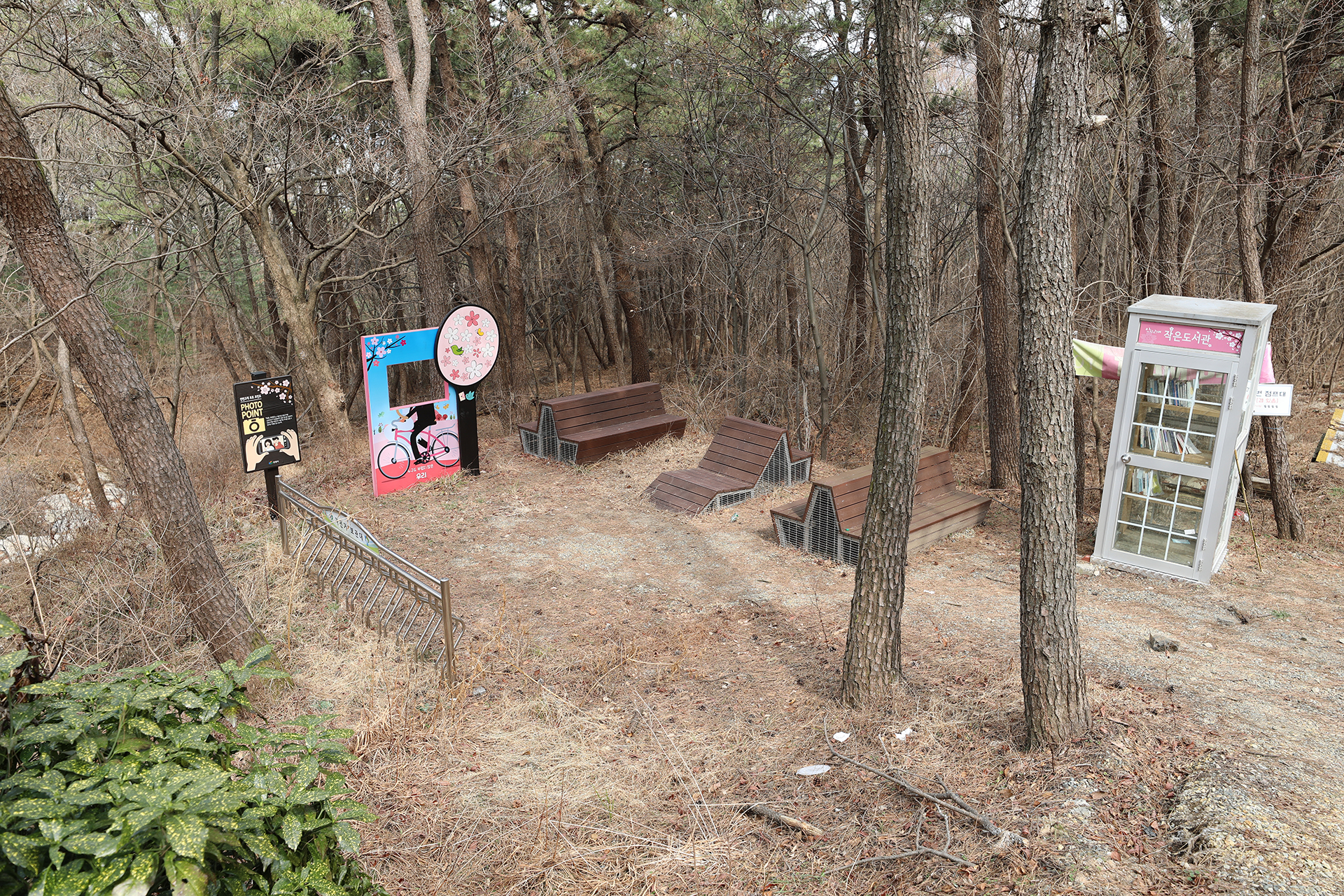 창원시 MTB 코스