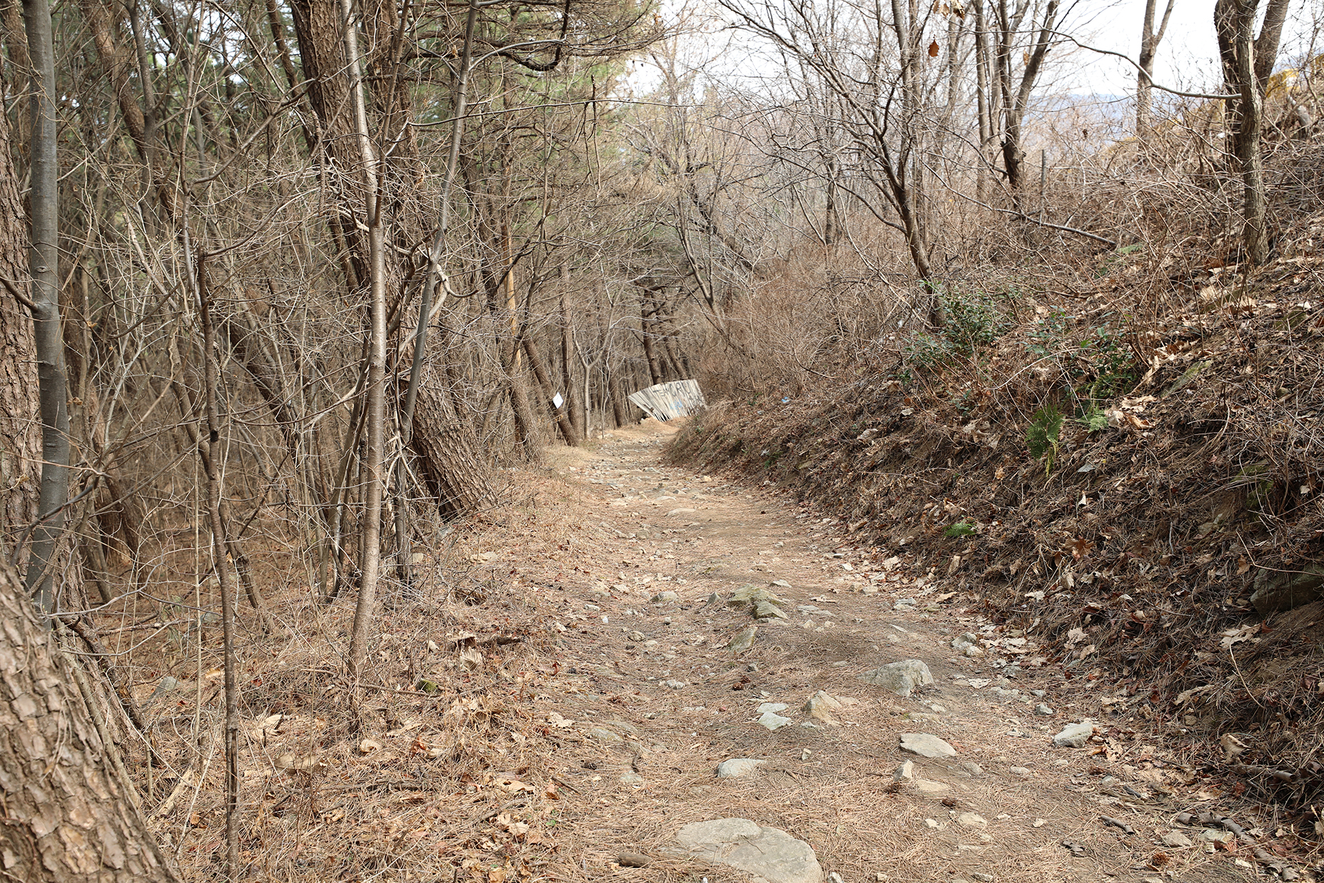 창원시 MTB 코스