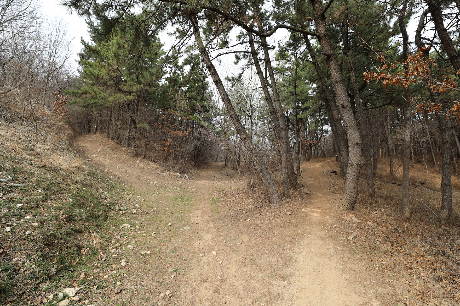 창원시 MTB 코스