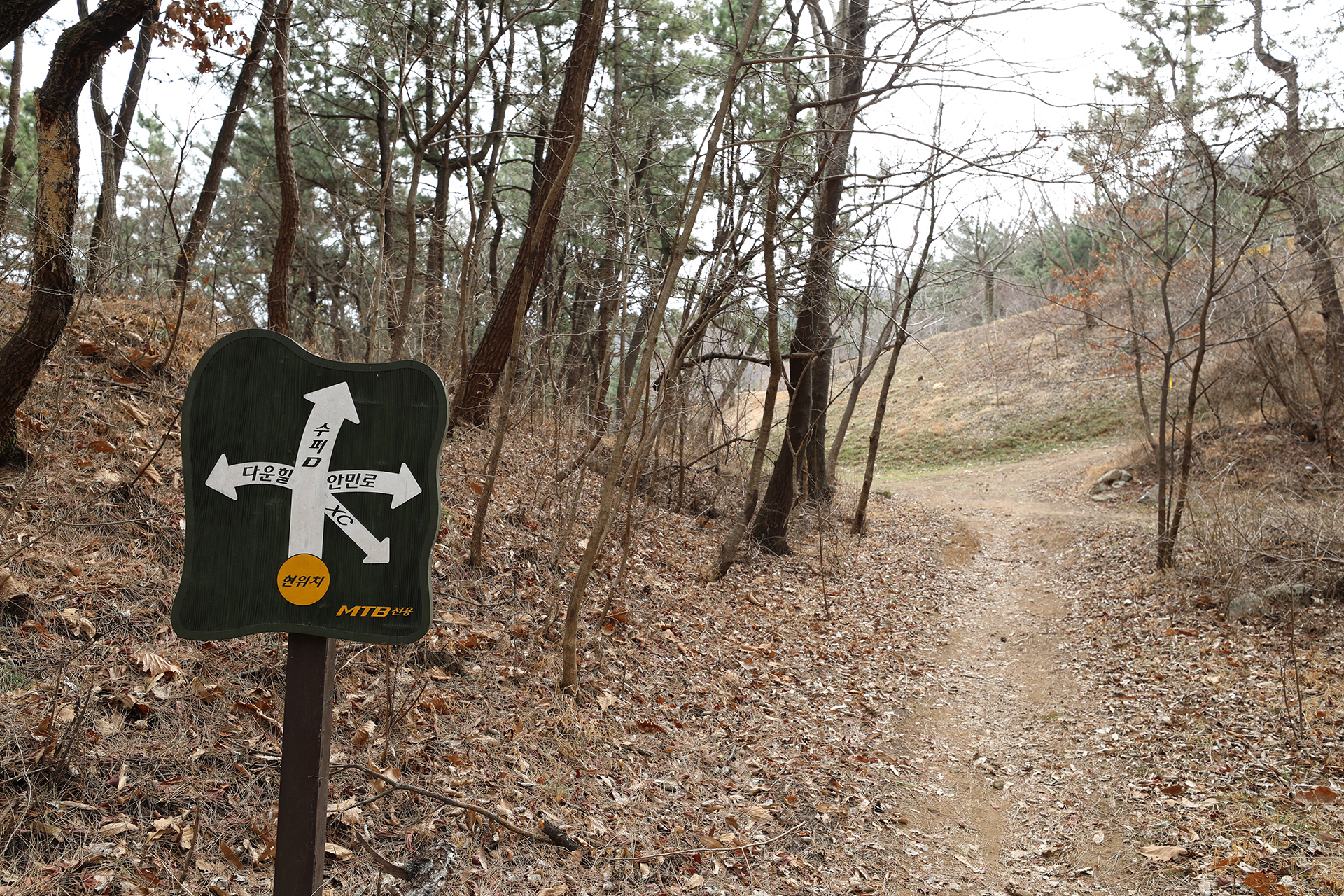 창원시 MTB 코스
