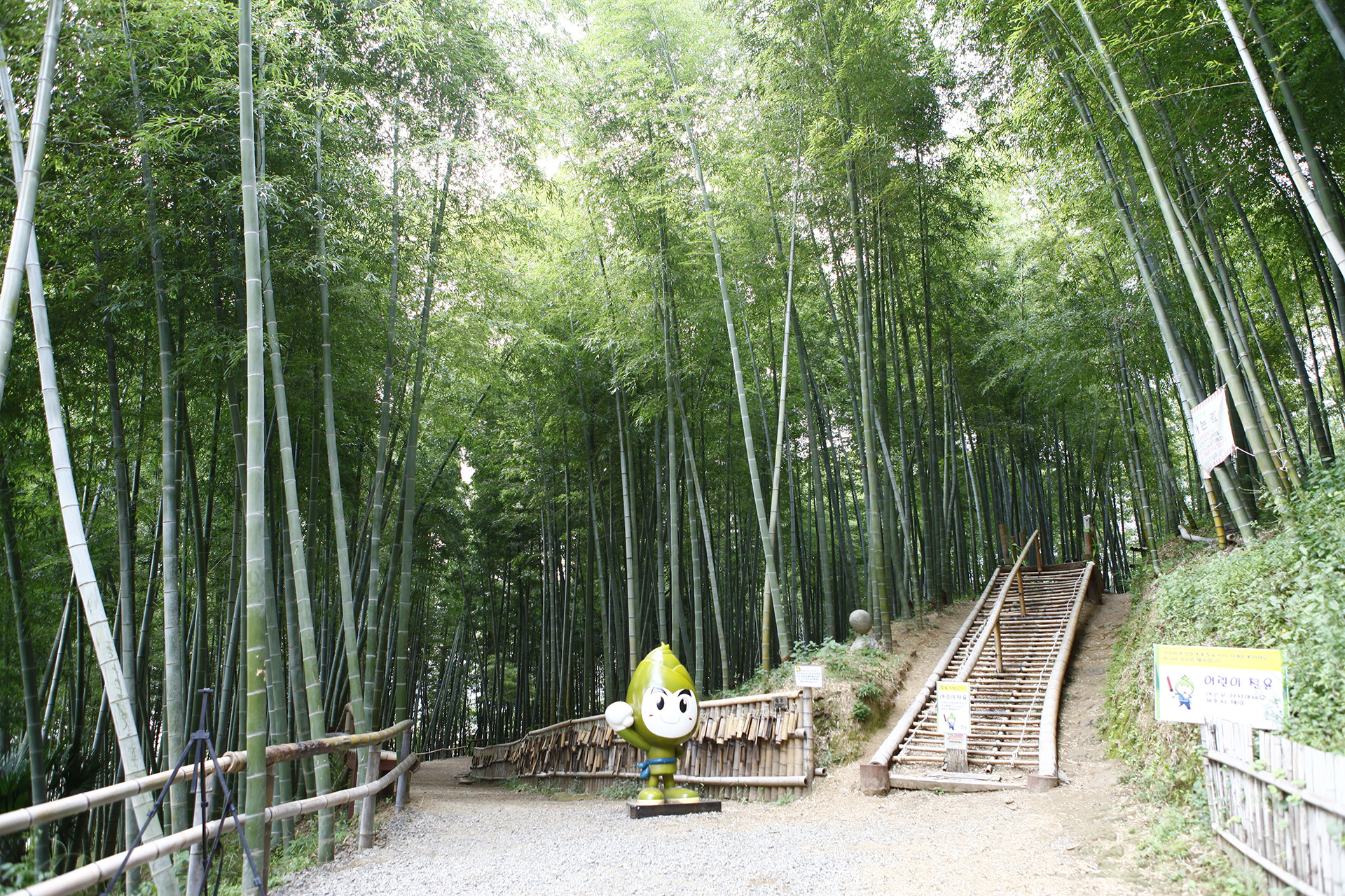 거제맹종죽테마공원