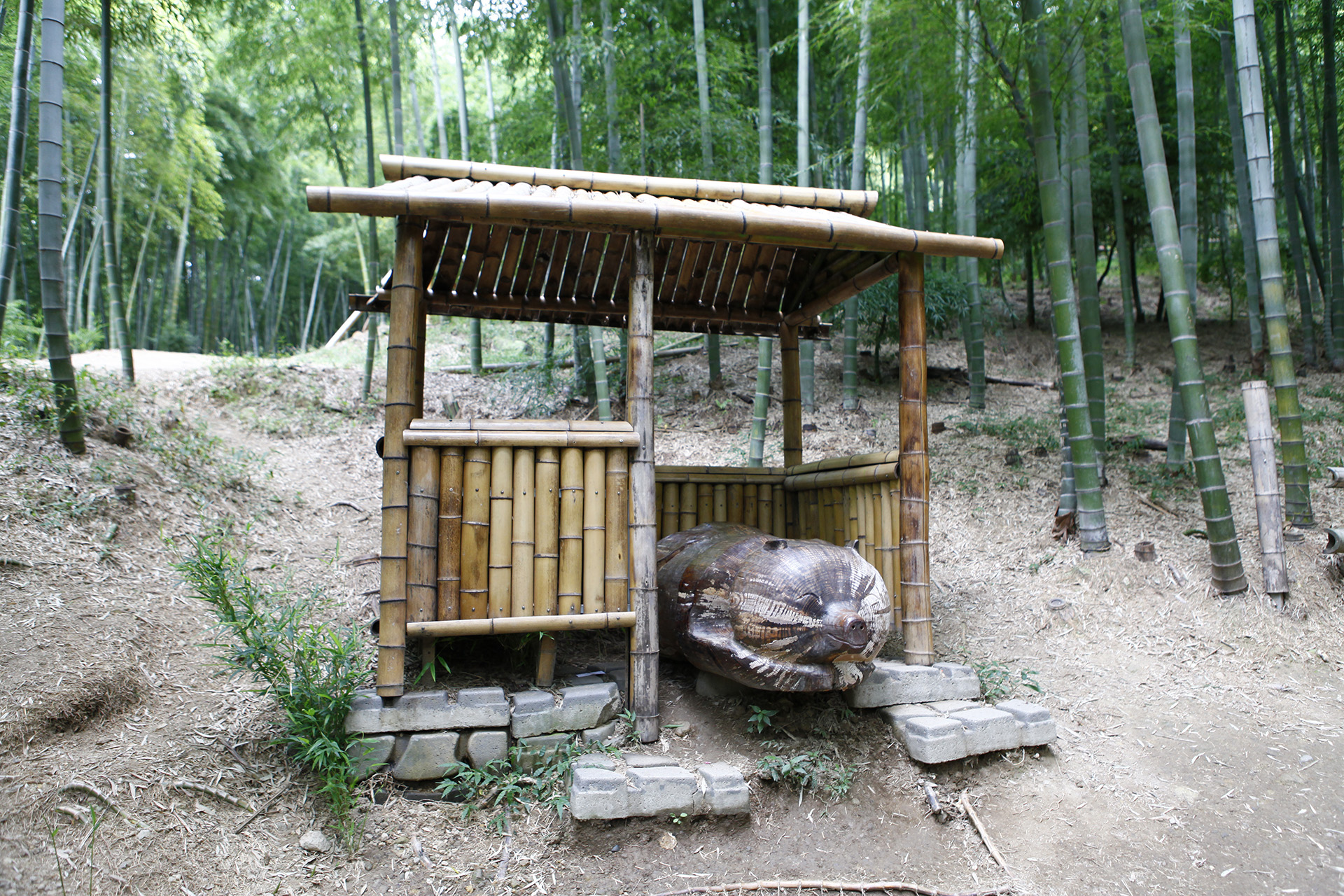 거제맹종죽테마공원