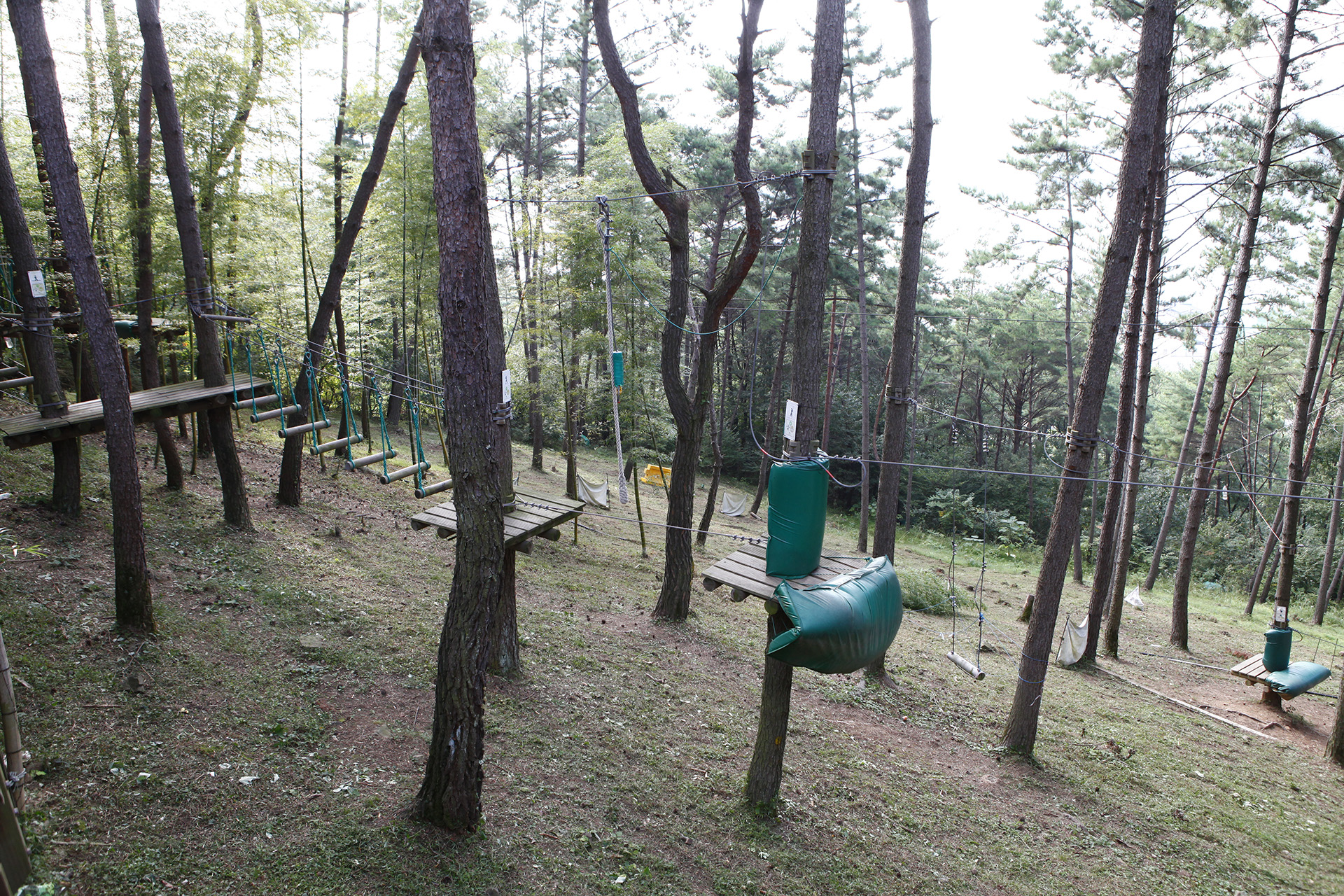 거제맹종죽테마공원