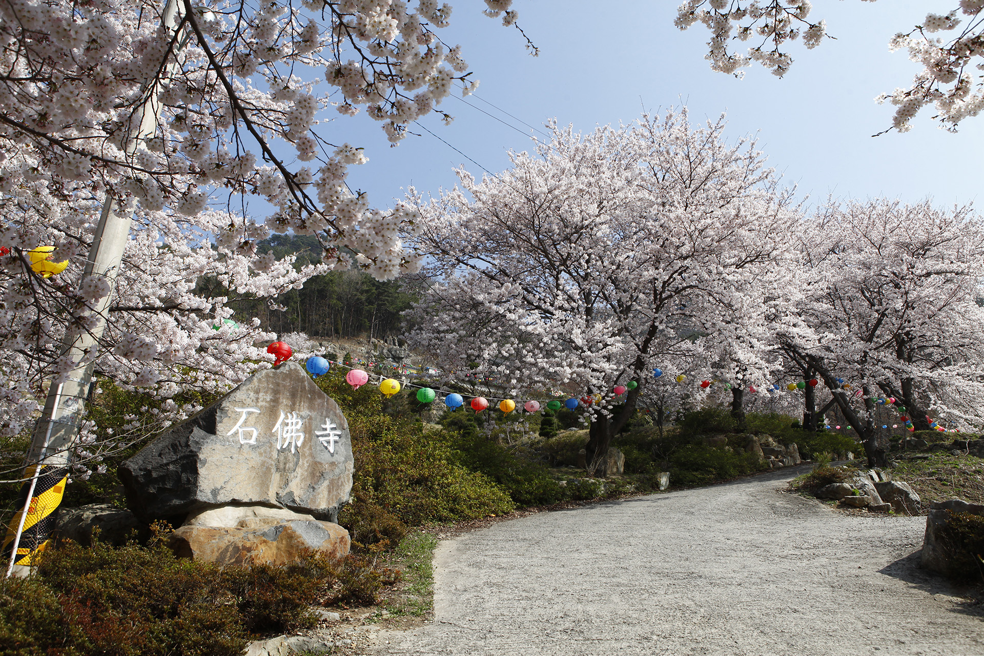 석불사