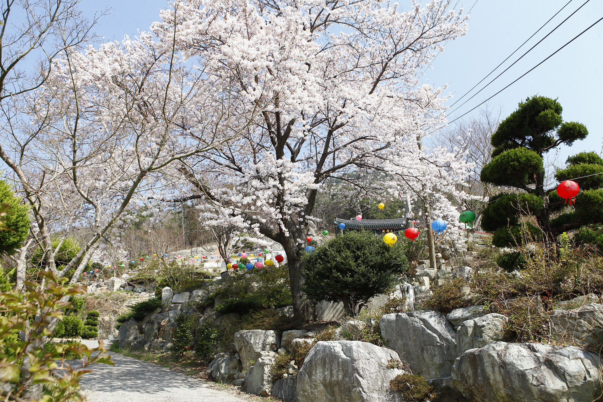 석불사