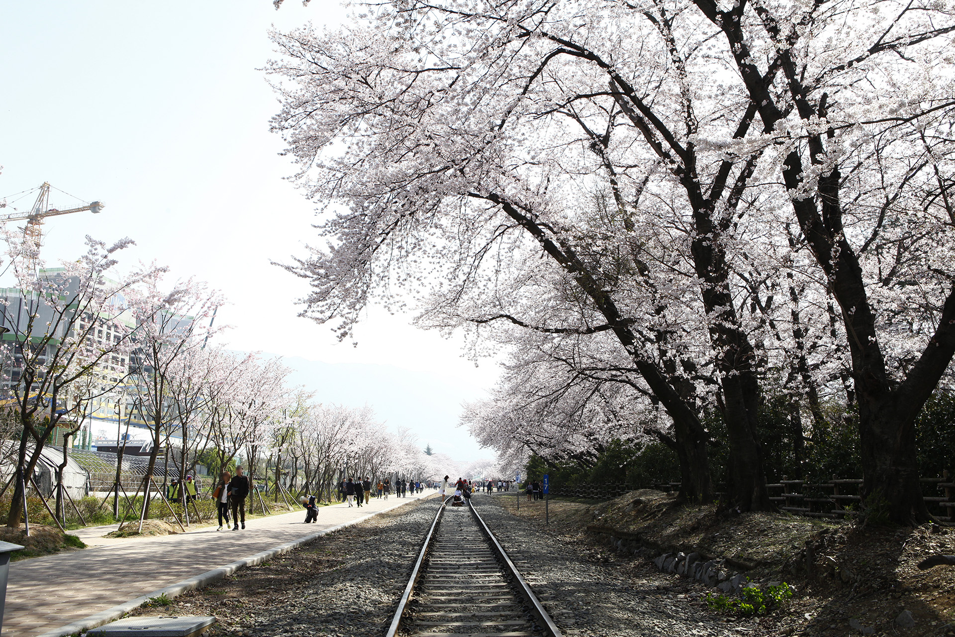 경화역