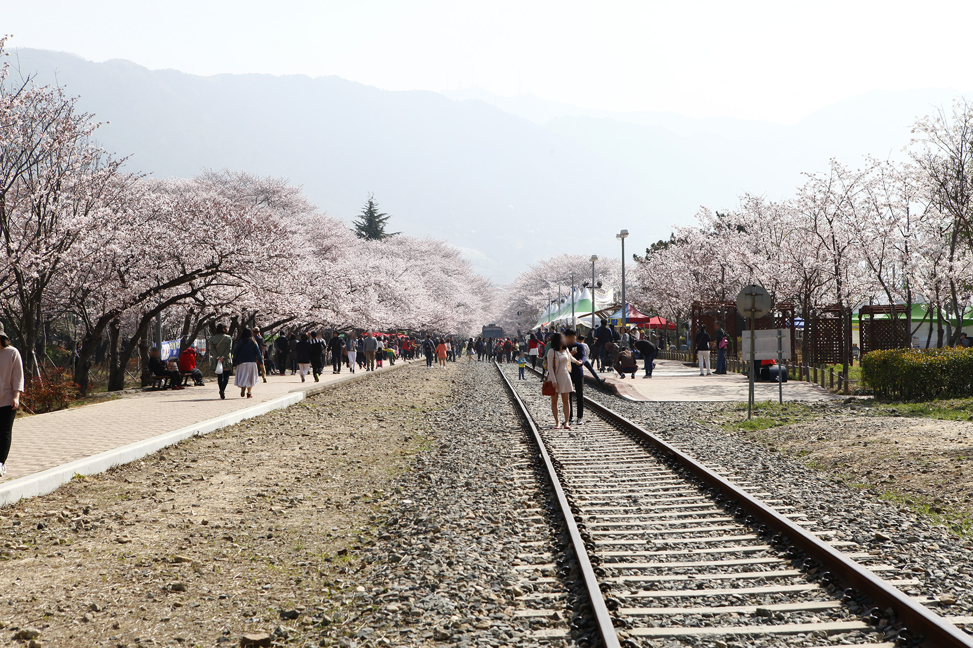 경화역
