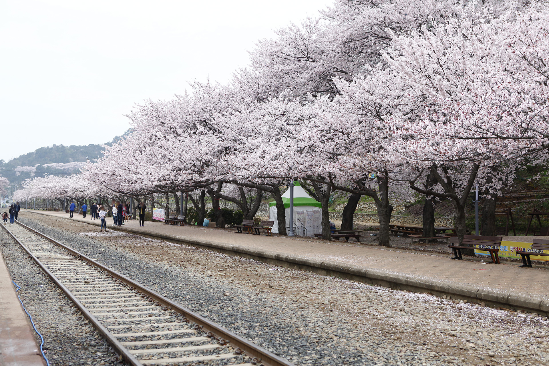 경화역
