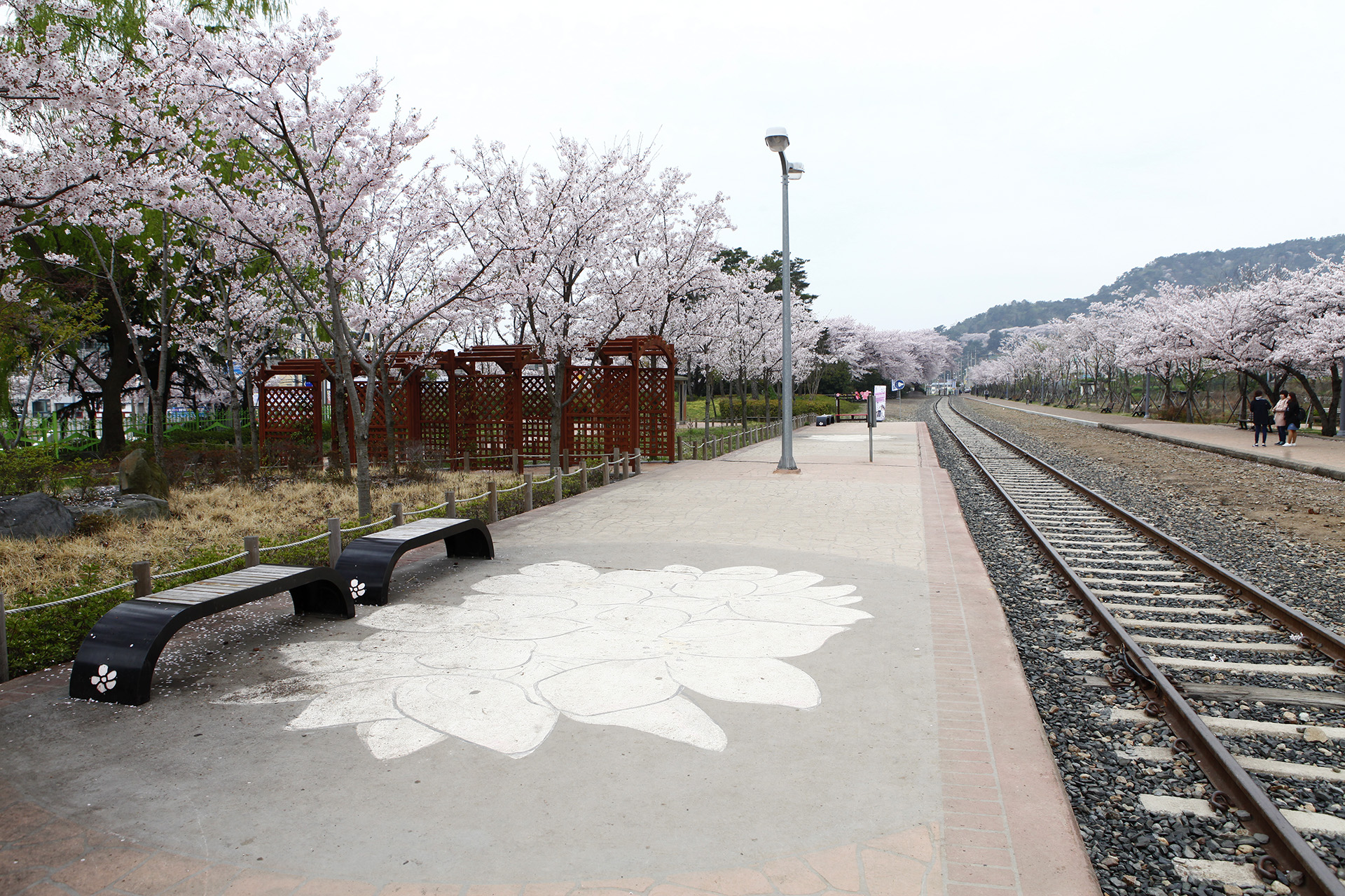 경화역