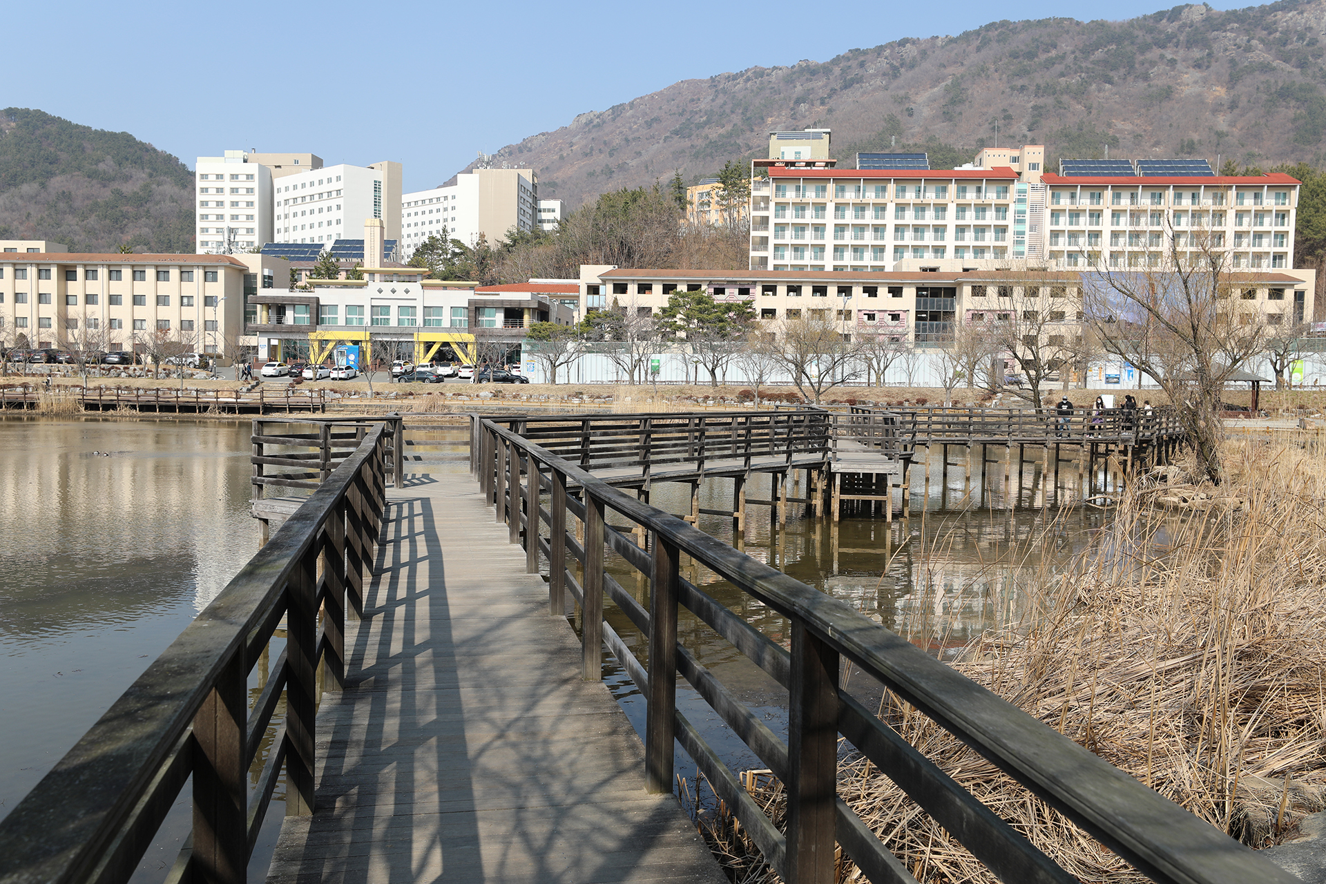 창원대학교 기숙사 연못