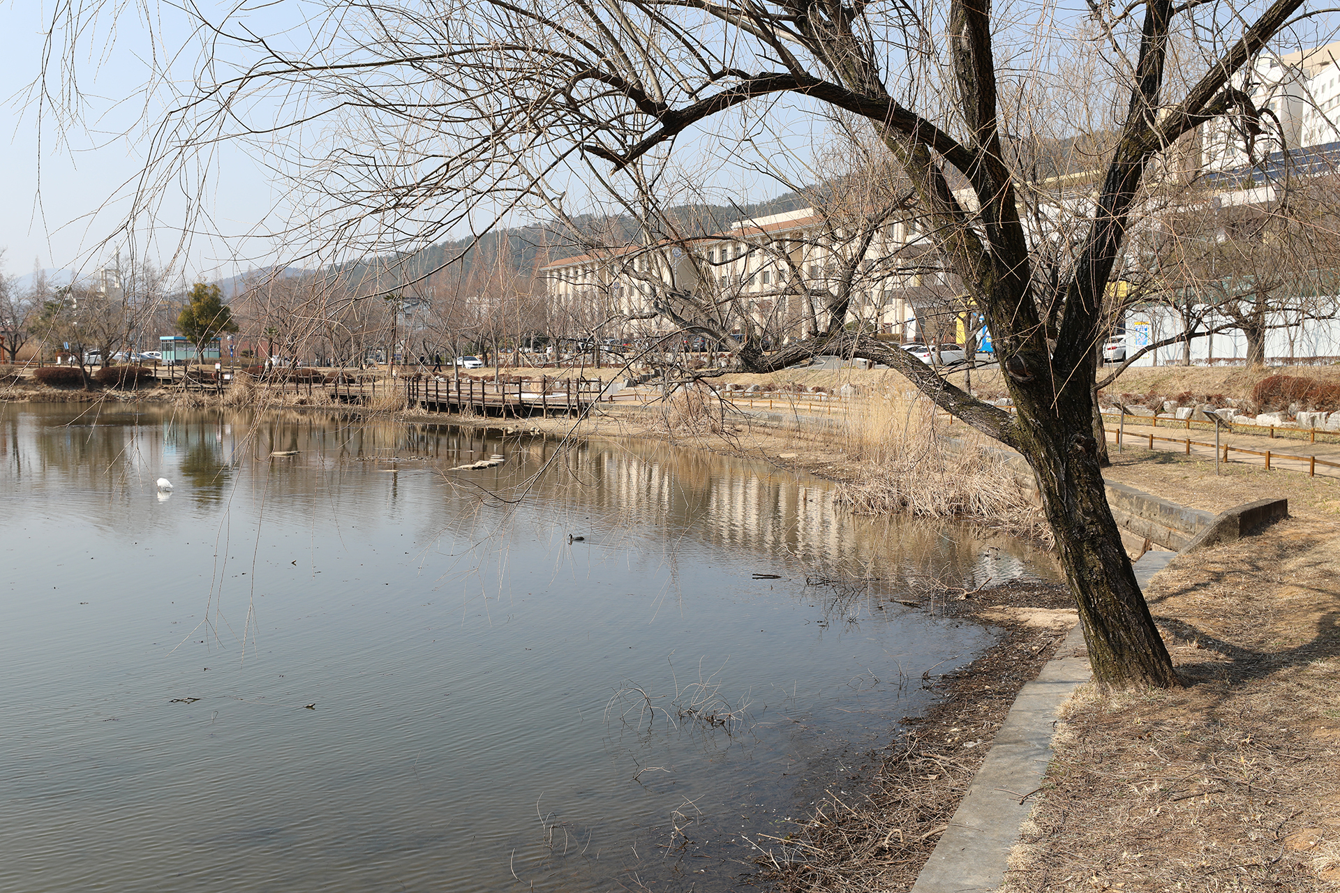 창원대학교 기숙사 연못